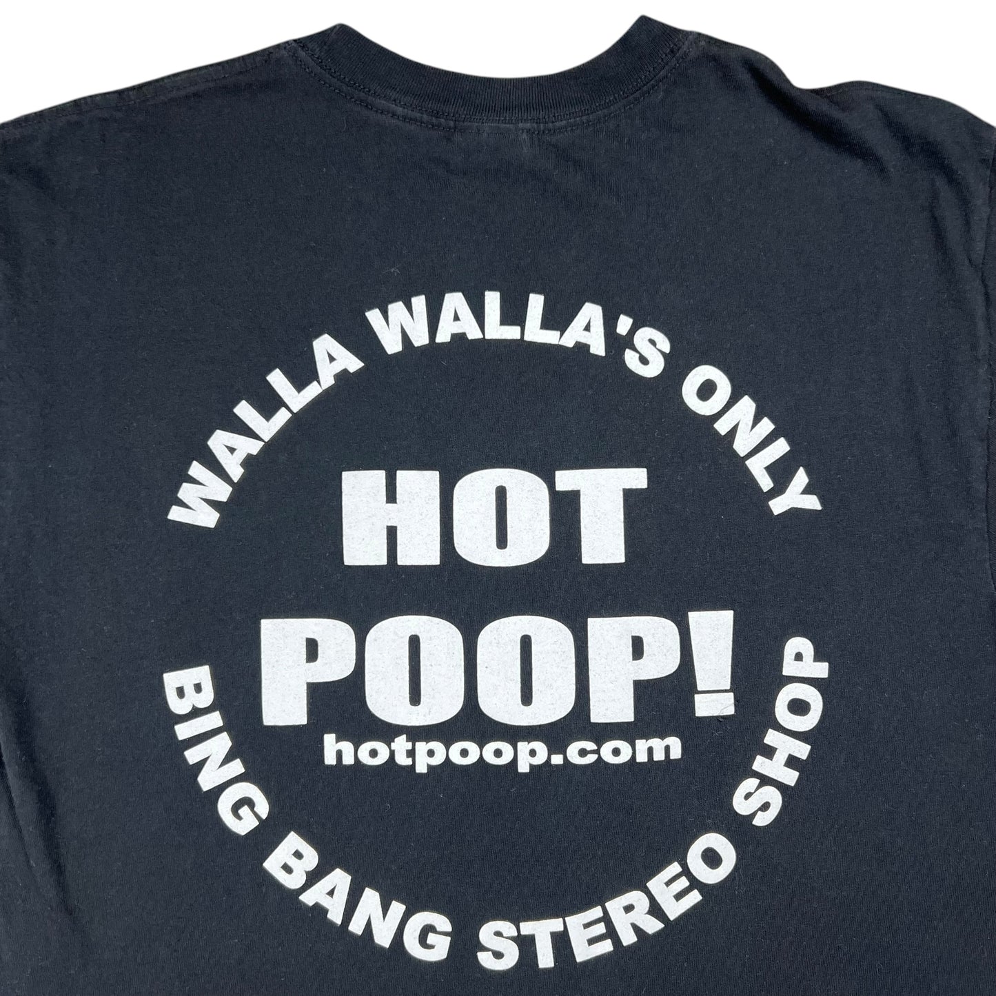 Vintage Y2K Hot Poop! Bing Bang Stereo Shop Mouse Kelley Washington record store tee (M)