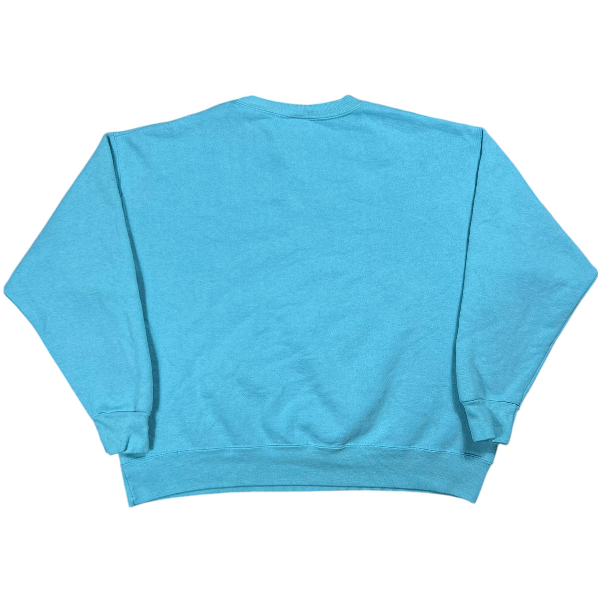 Vintage 90s Nike Swoosh ACG Air Jordan Aqua Gear faded crewneck (L)
