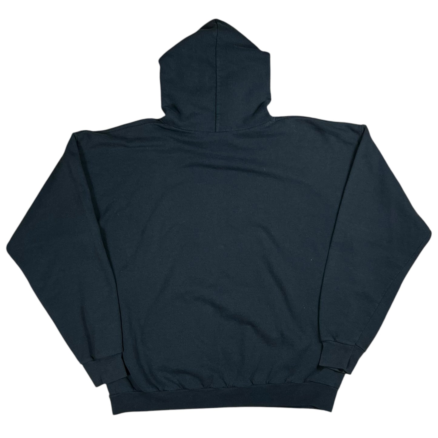 Vintage Y2K Hanes School of Rock movie hoodie (XL)