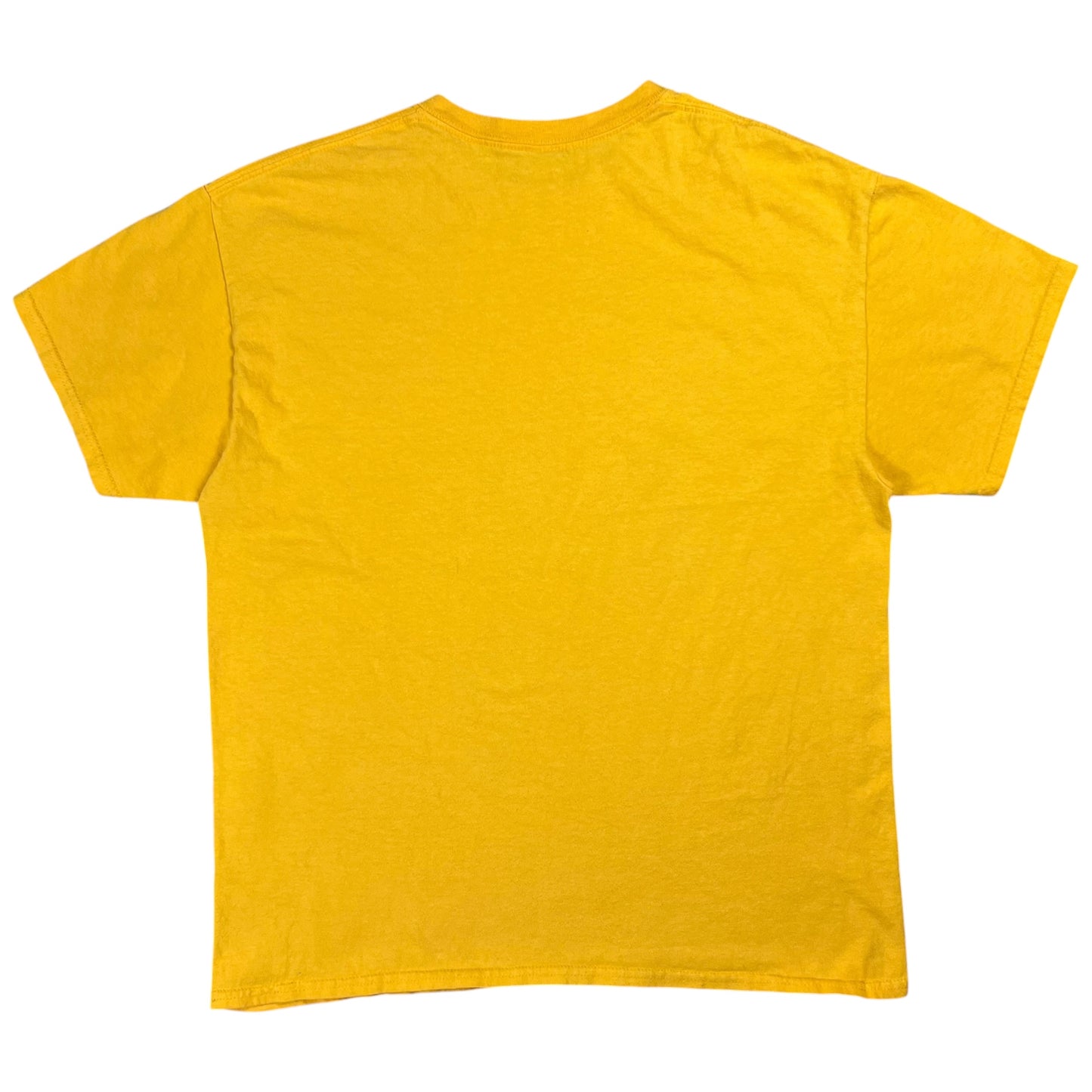 Vintage Y2K Talking Heads David Byrne band tee (L)