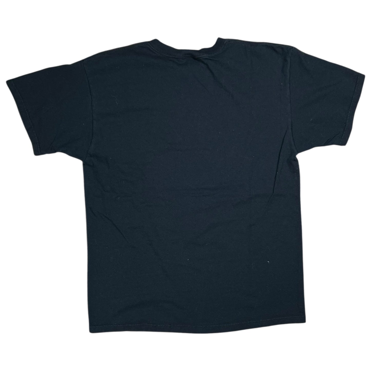 Vintage Y2K YOU CAN EITHER AGREE WITH ME OR BE WRONG! text tee (M)