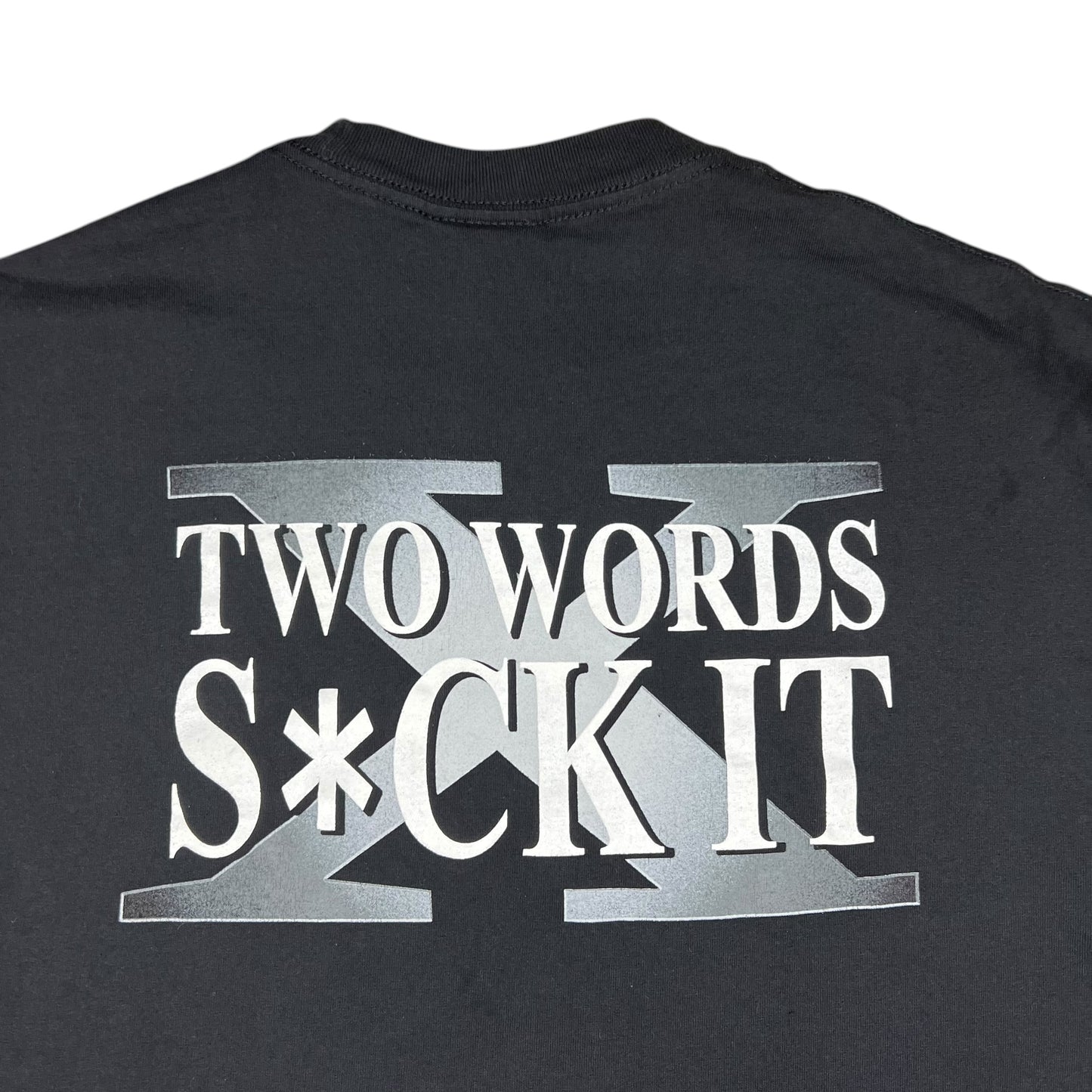 Vintage 2002 WWE D-GENERATION X TWO WORDS SUCK IT wrestling tee (L)