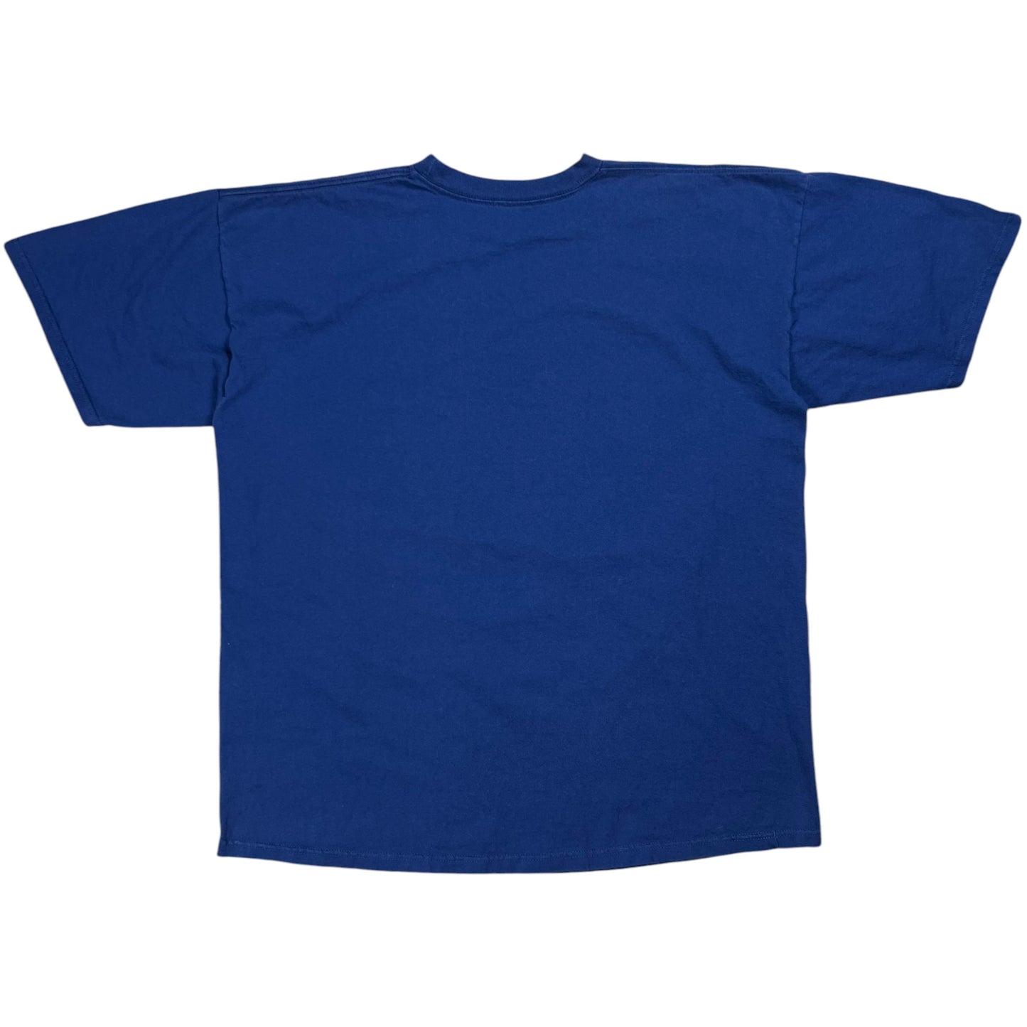 Vintage 1998 Riddell New York Giants big print tee (XL)