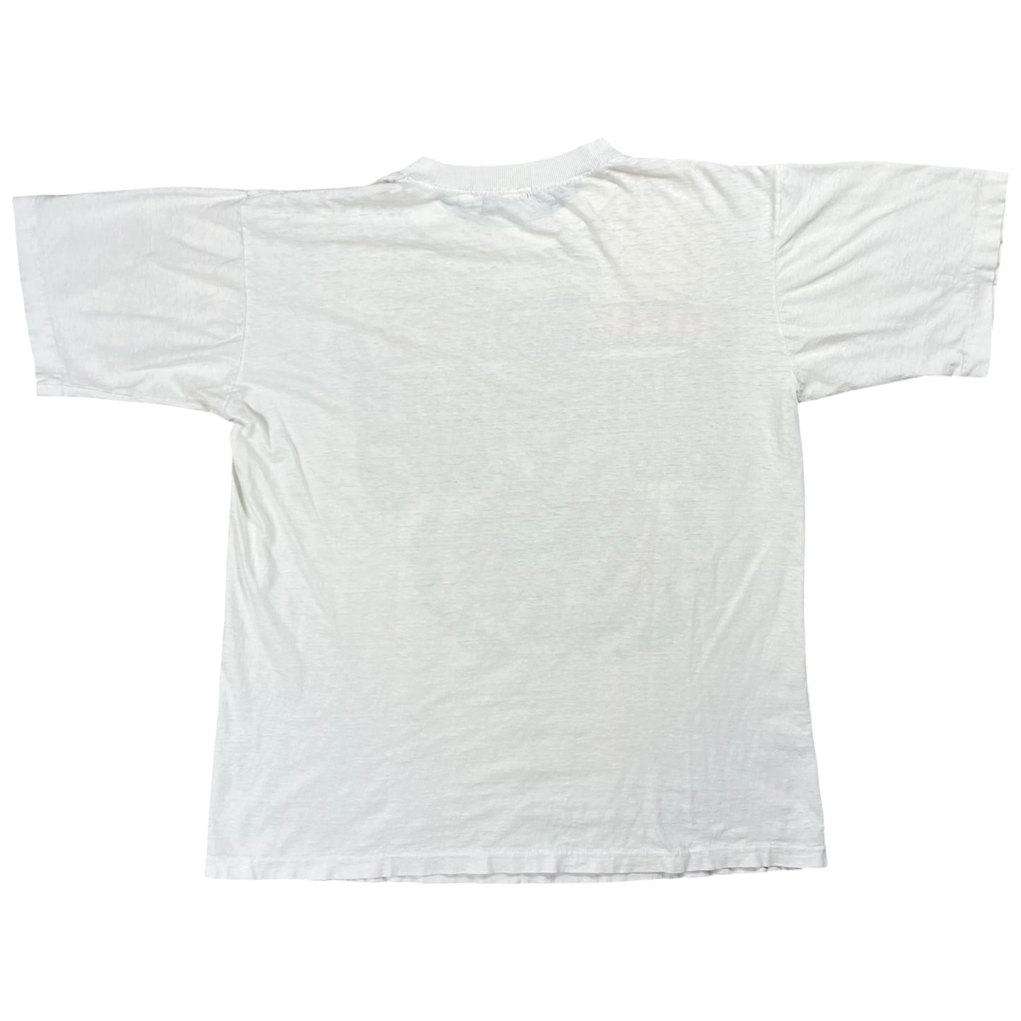 Vintage 1991 New York Giants Super Bowl XXV Champions faded tee (L)