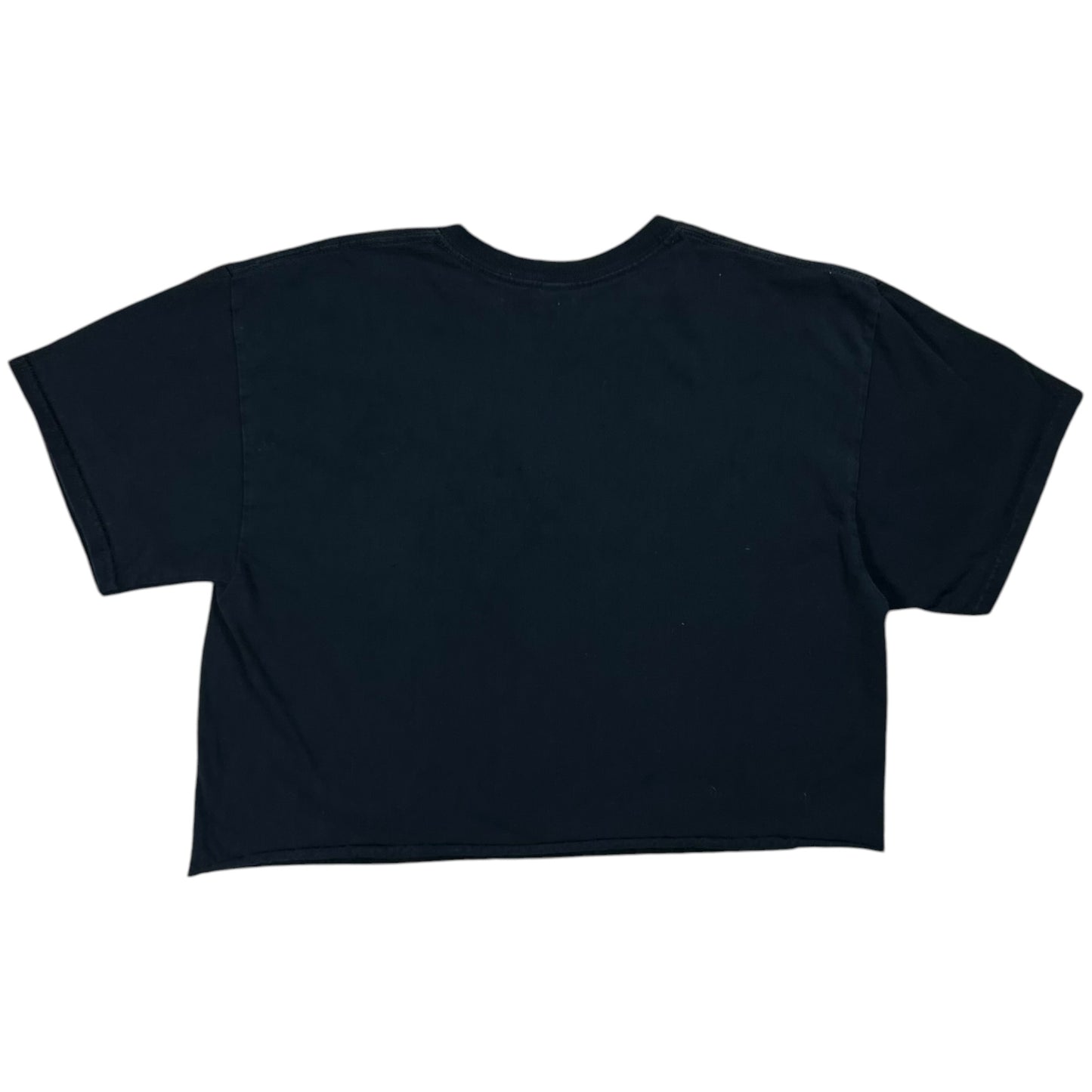 Y2K Turnstile hardcore cropped band tee (L)