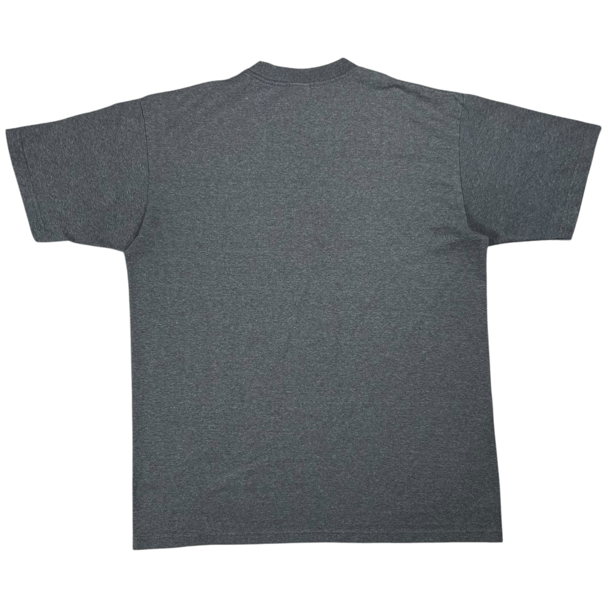 Vintage Y2K The North Face TNF Fine Alpine Equipment tee (L)