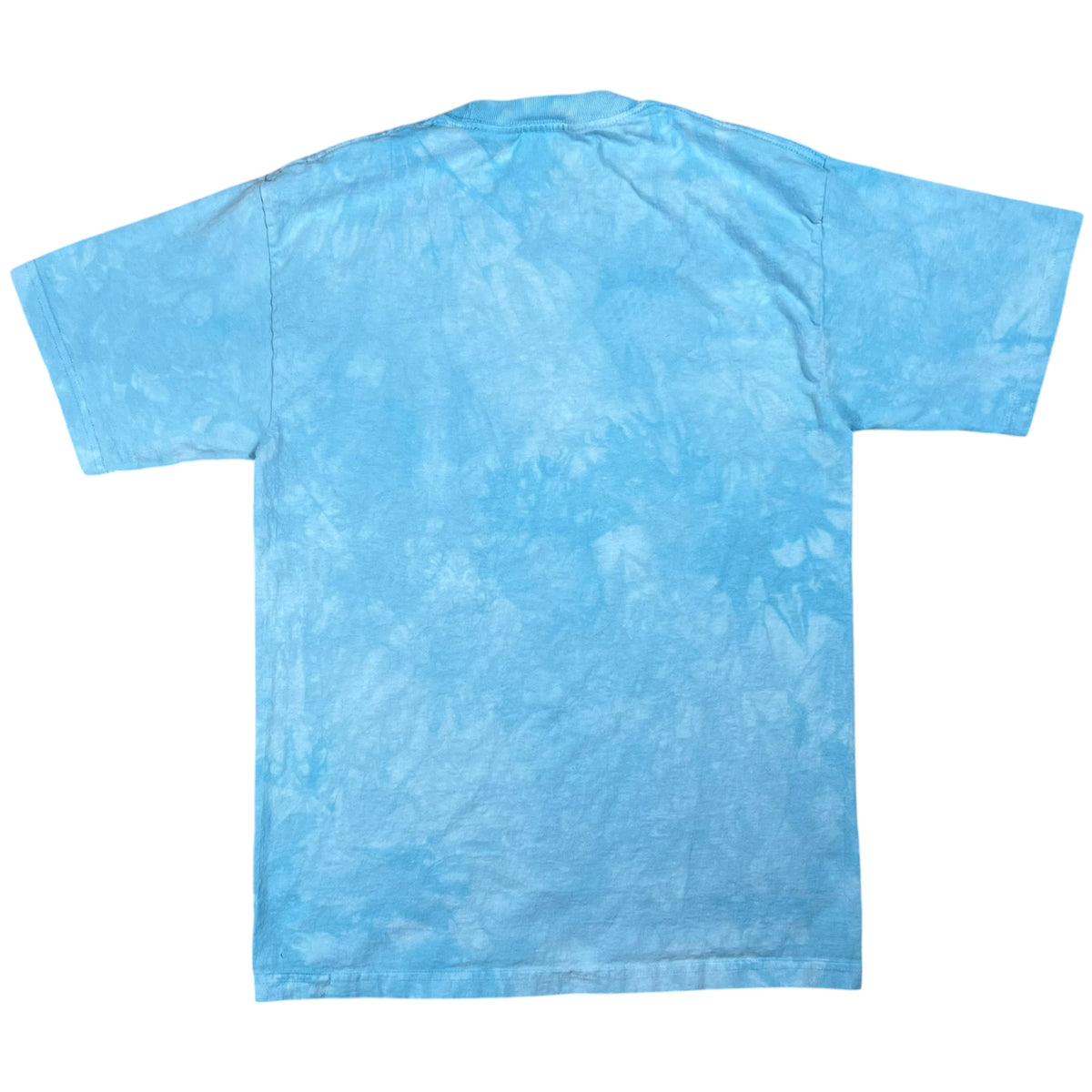 Vintage 2000 The Mountain Cat Kittens jumbo print tie dye tee (M)