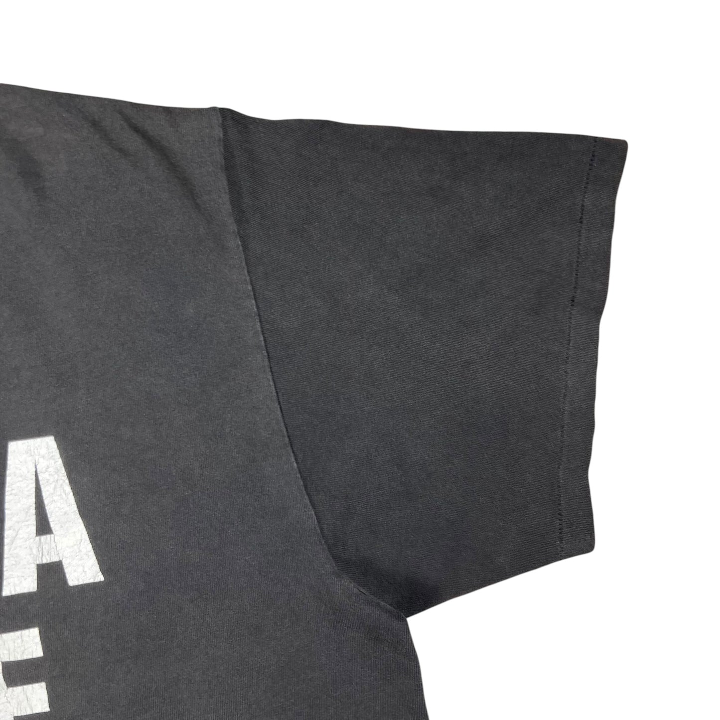 Vintage 1998 WWF Stone Cold Steve Austin HELL YEAH! faded wrestling tee (L)
