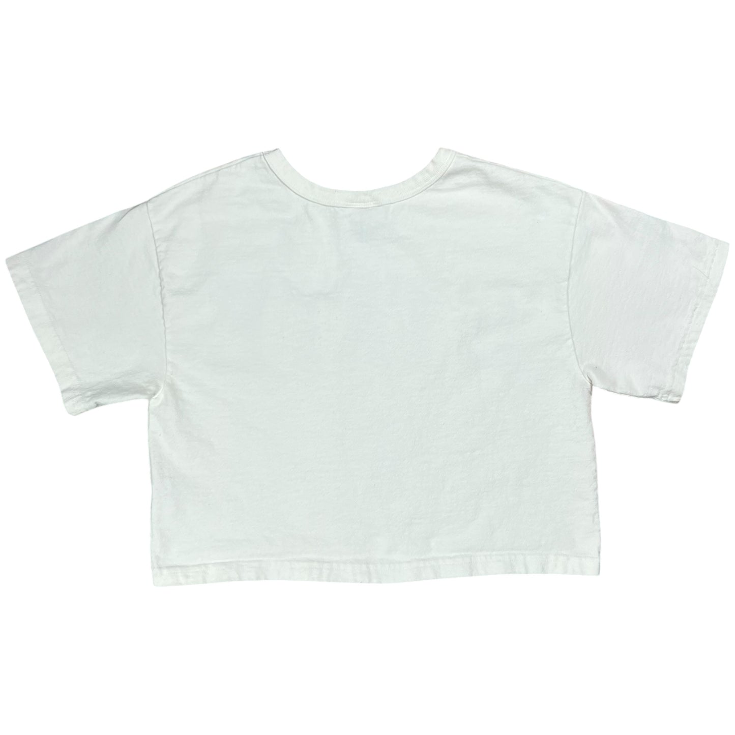 Vintage Y2K Champion STATE Penn state university cropped femme tee (S)