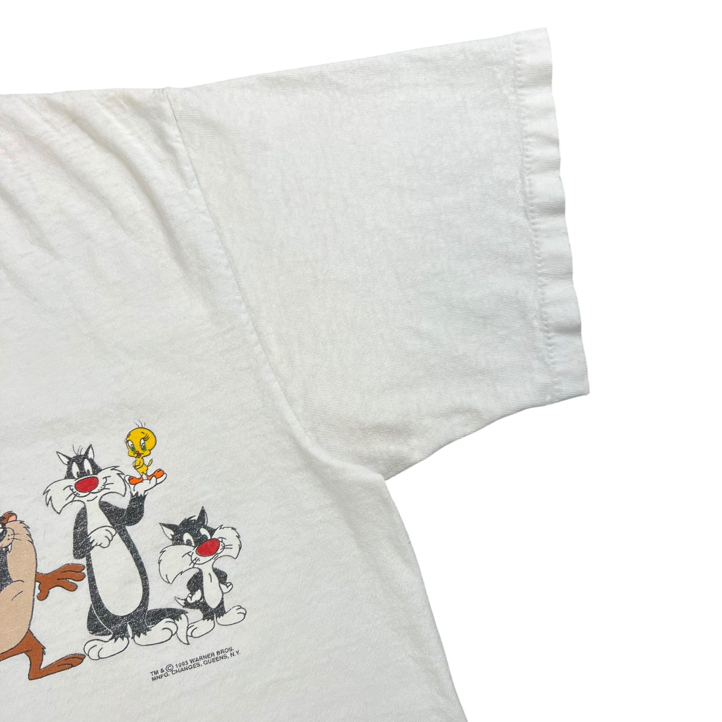 Vintage 1993 Changes Looney Tunes characters tee (L)