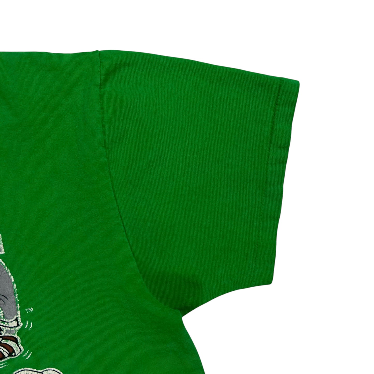 Vintage 90s Philadelphia Eagles Taz Looney Tunes Kelly Green tee (L)
