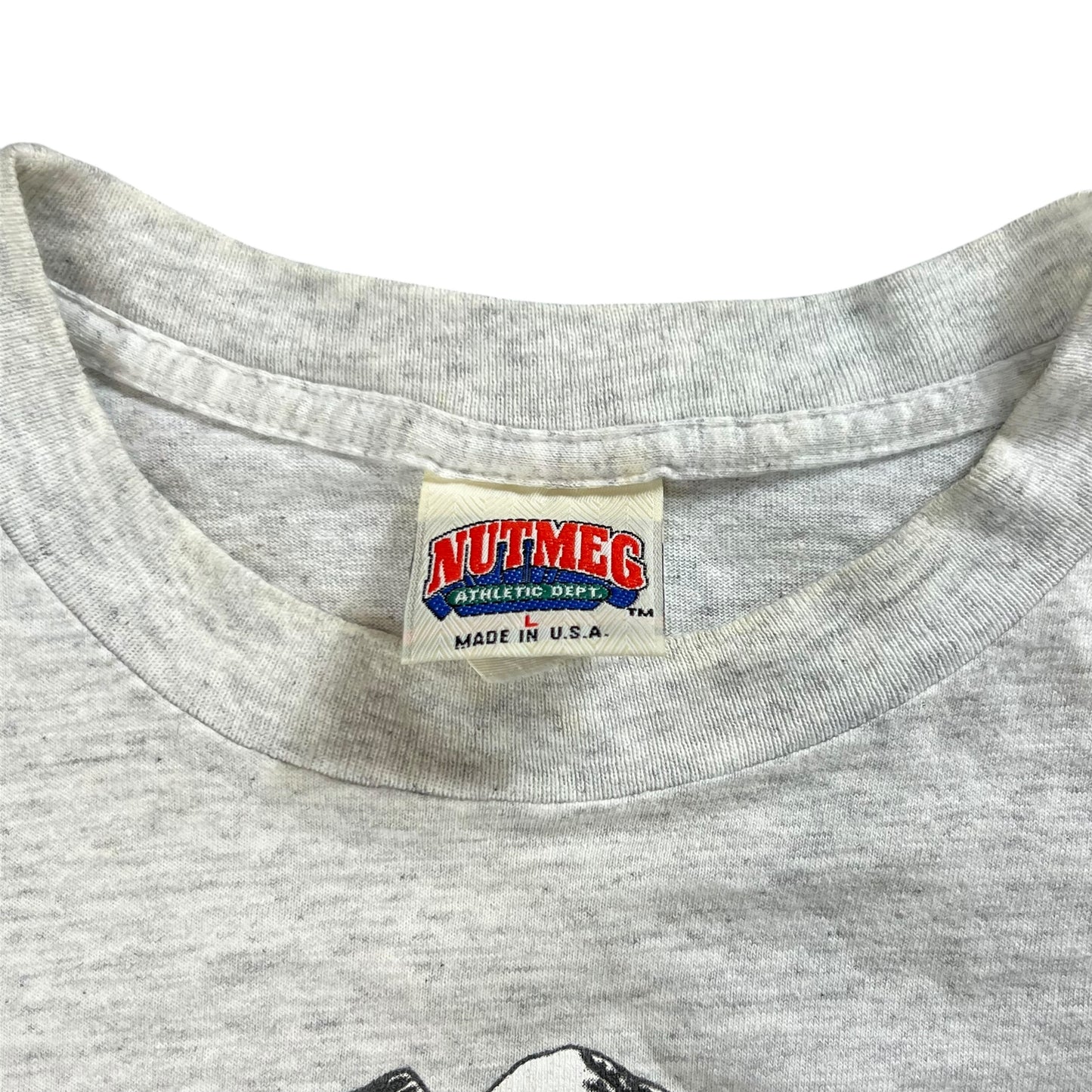 Vintage 90s Nutmeg Lawrence Taylor New York Giants stats tee (M)