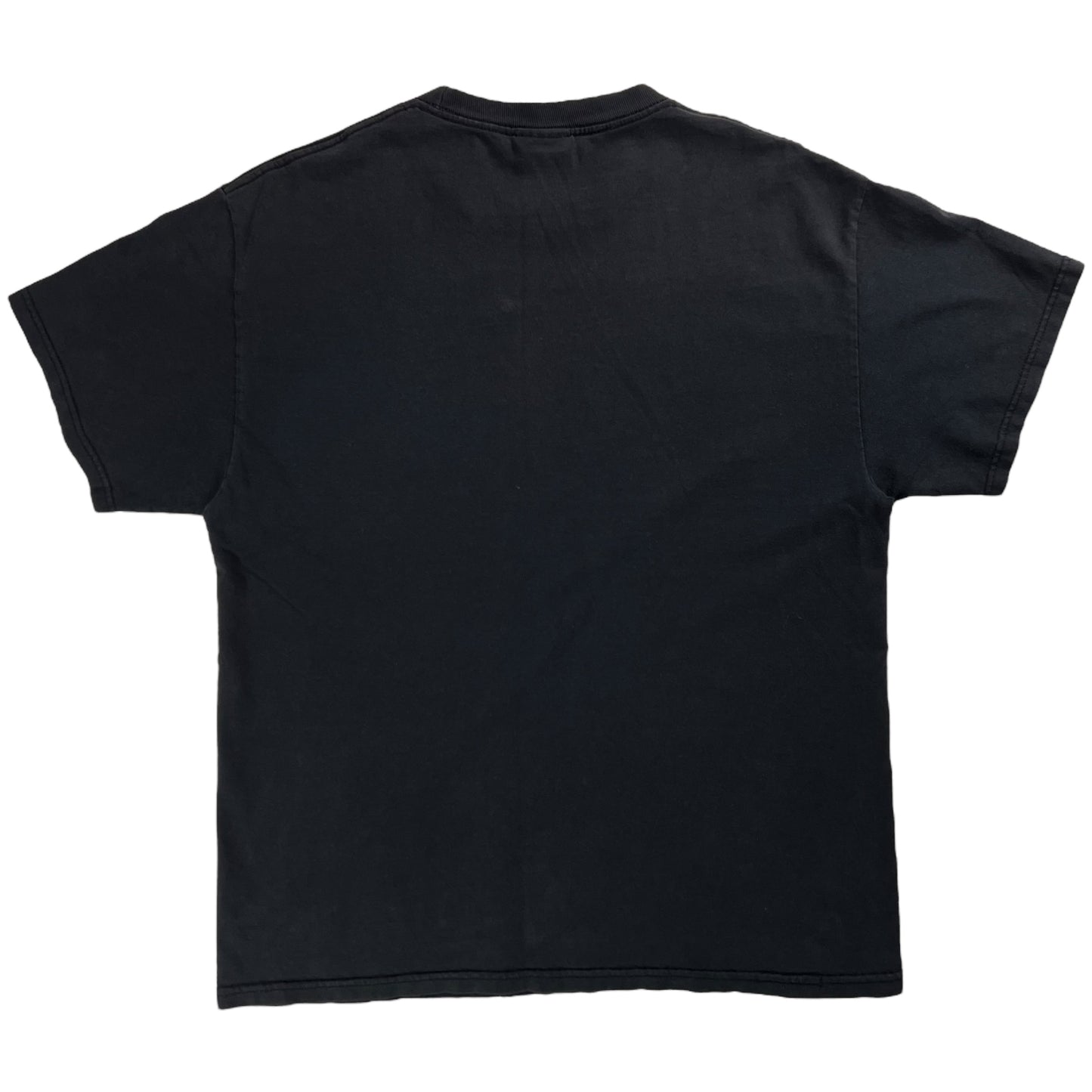Vintage 2002 GIANT Trust Company band tee (L)