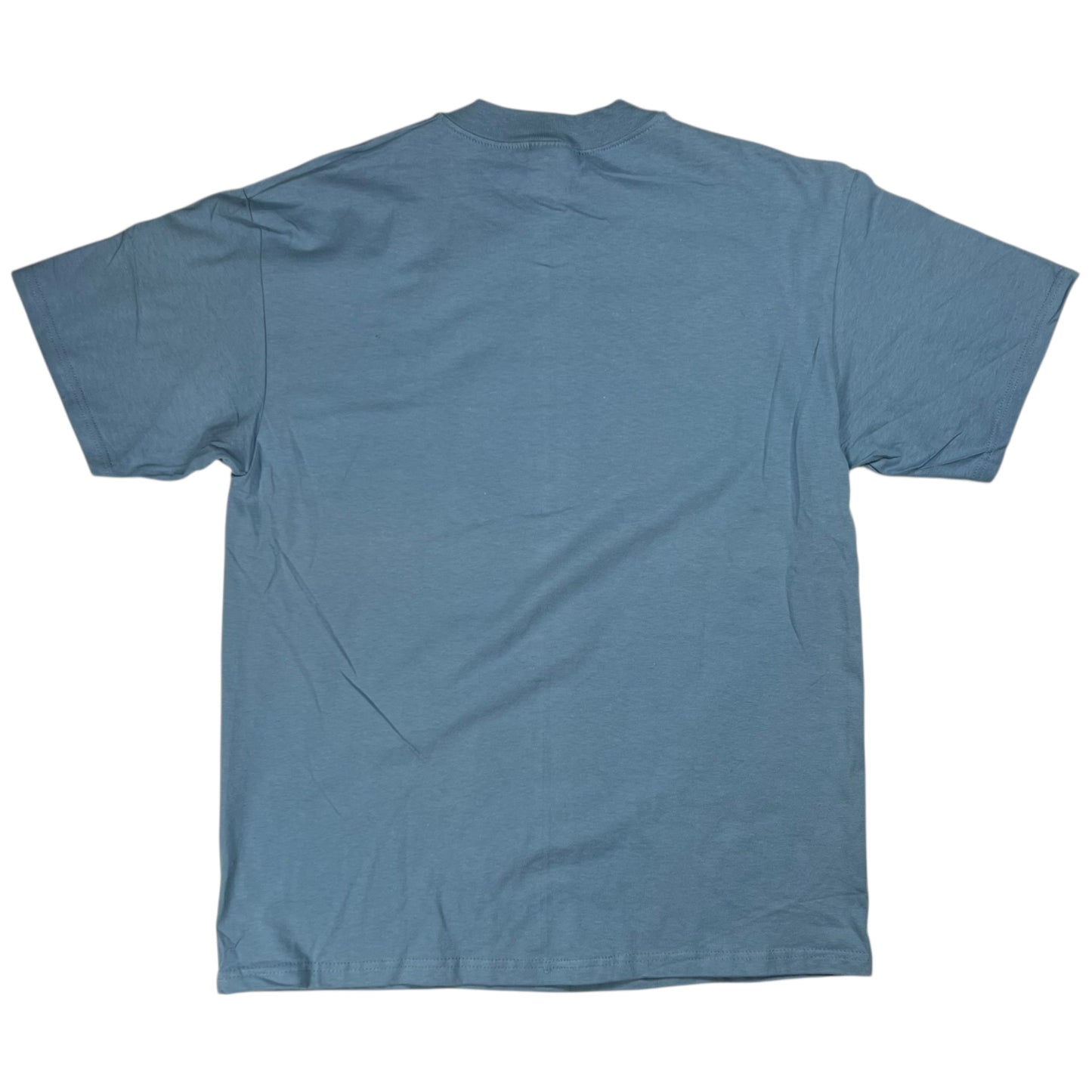 Vintage 1999 Blink 182 Butterfly band tee (L)