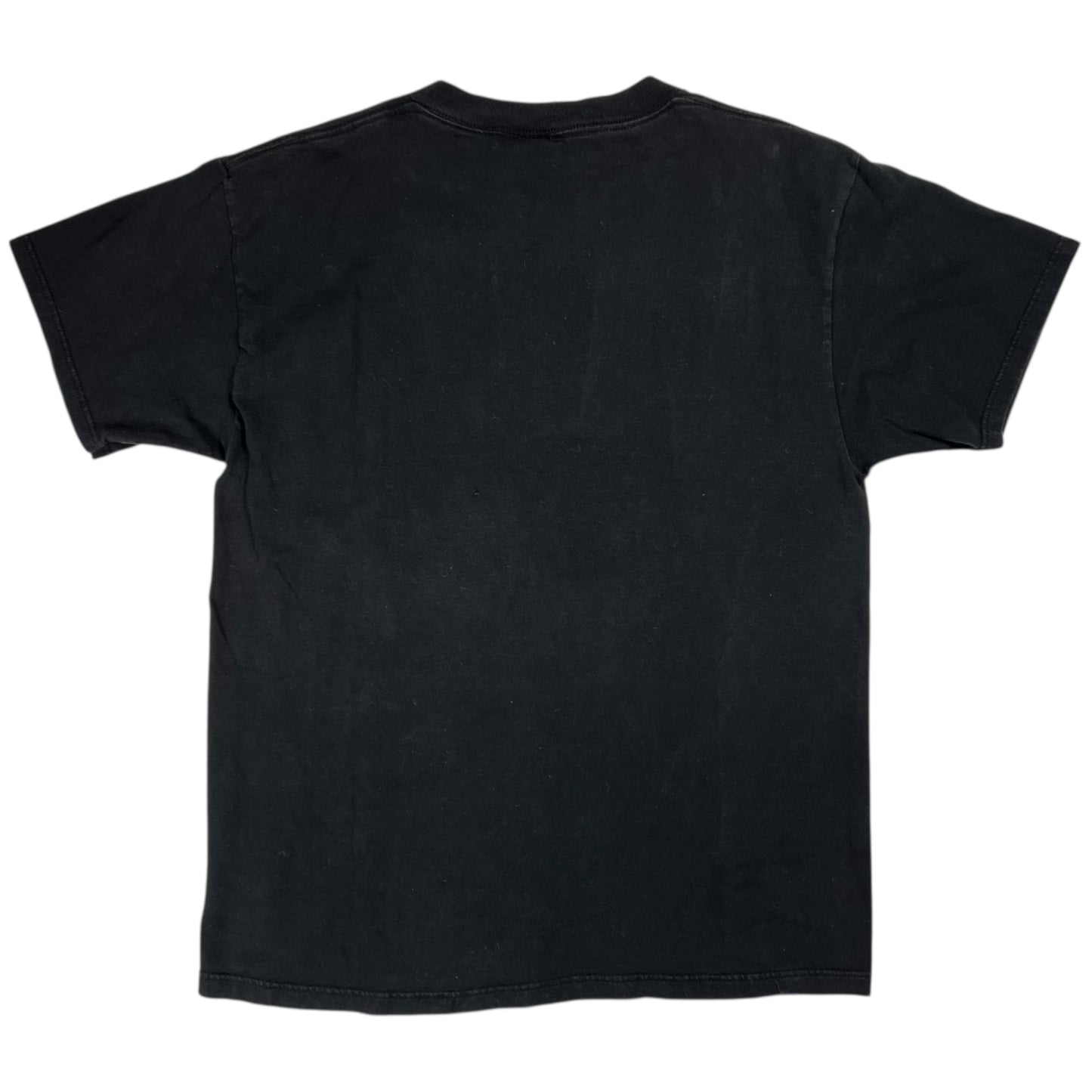 Vintage 90s Pittsburgh Steelers Jerome Bettis tee (L)