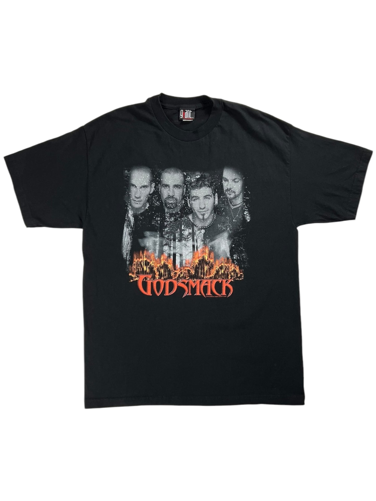 Vintage 2000 GIANT Godsmack Smackfest band tee (XL)