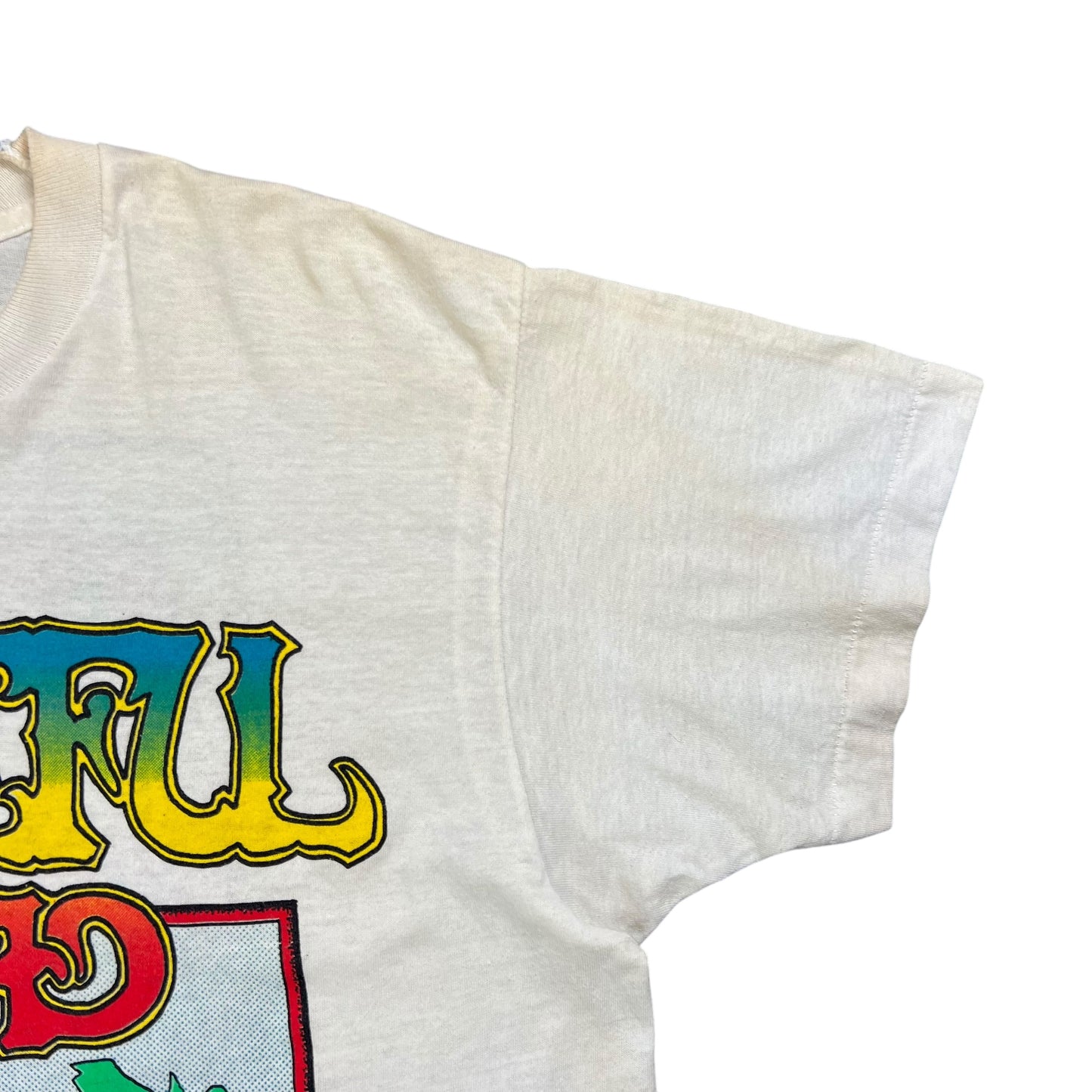 Vintage 80s Grateful Dead Dead Zone Bertha band lot tee (L)