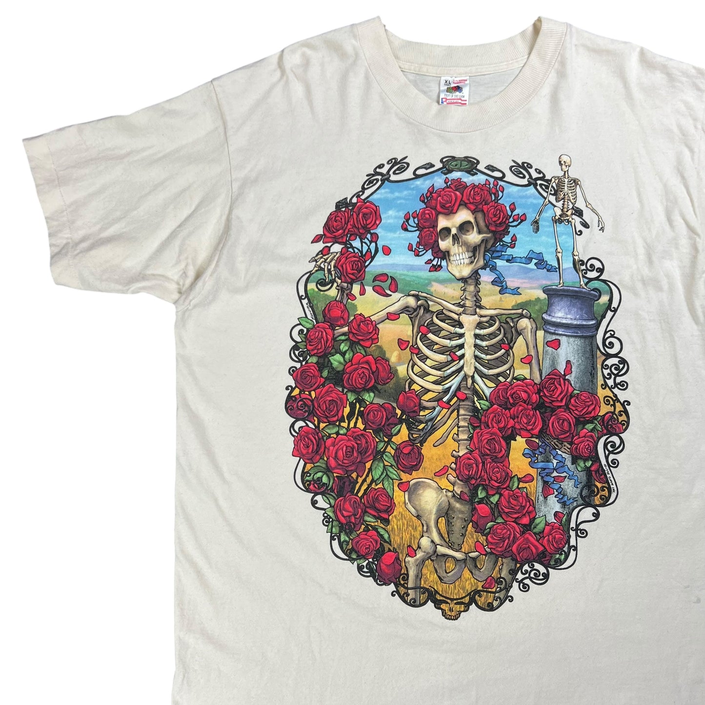 Vintage 1995 Grateful Dead Bertha 30 years band tee (XL)