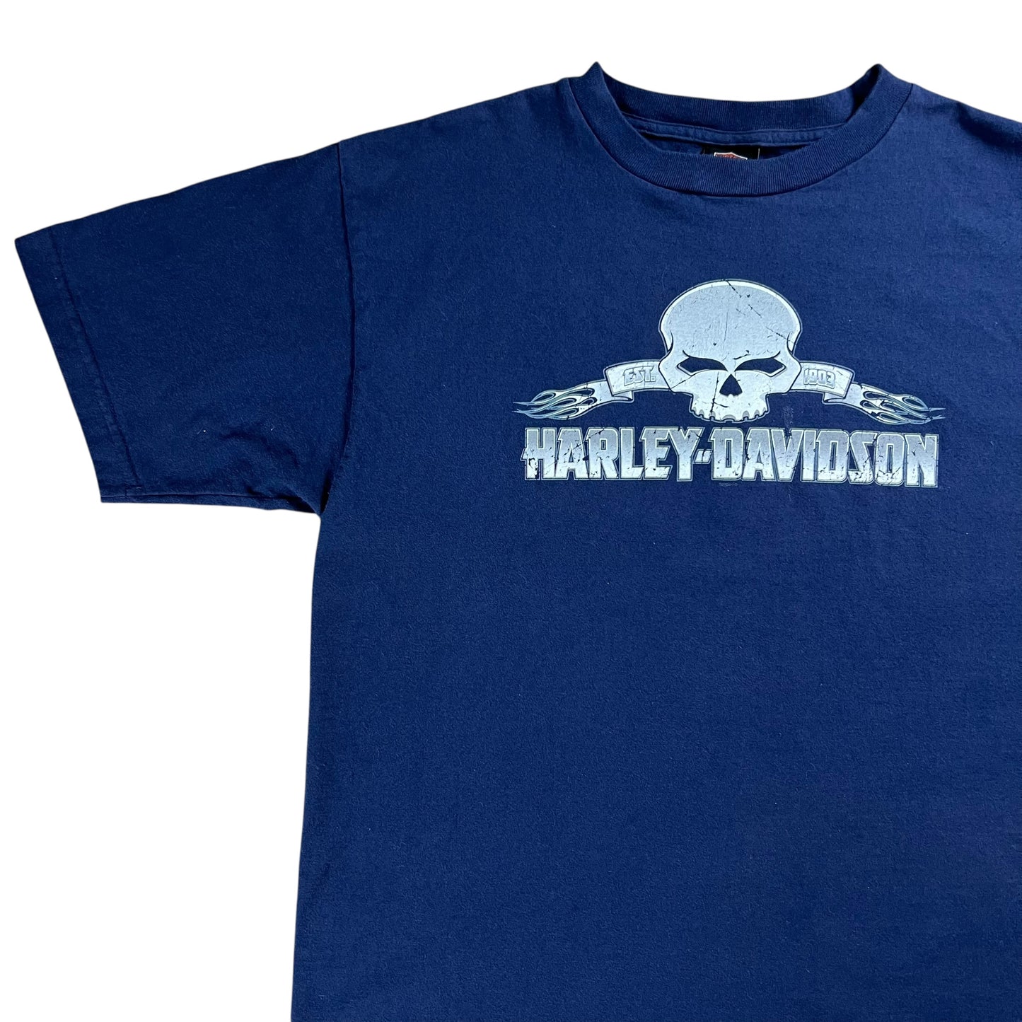 Vintage 2004 Harley Davidson Motorcycles skull tee (XL)
