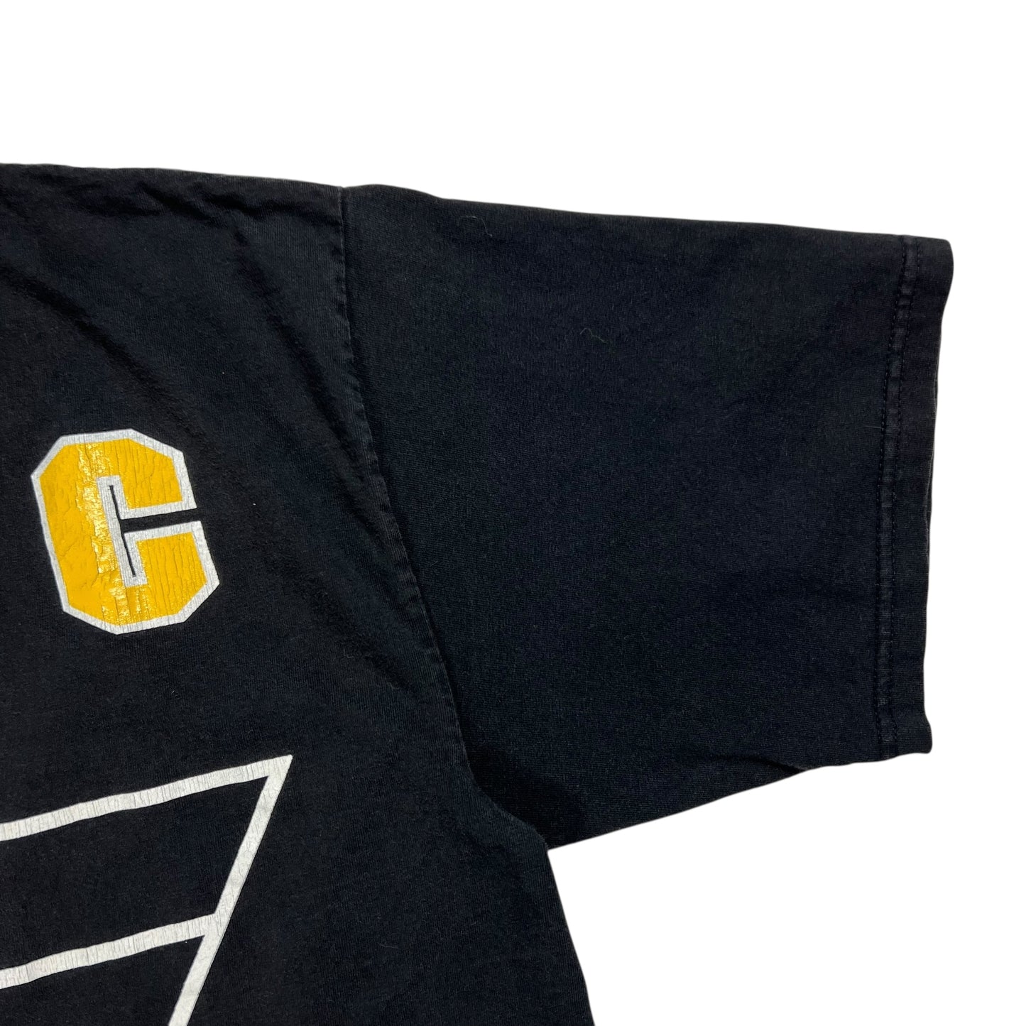 Vintage 90s Pittsburgh Penguins Mario Lemieux tee (XL)