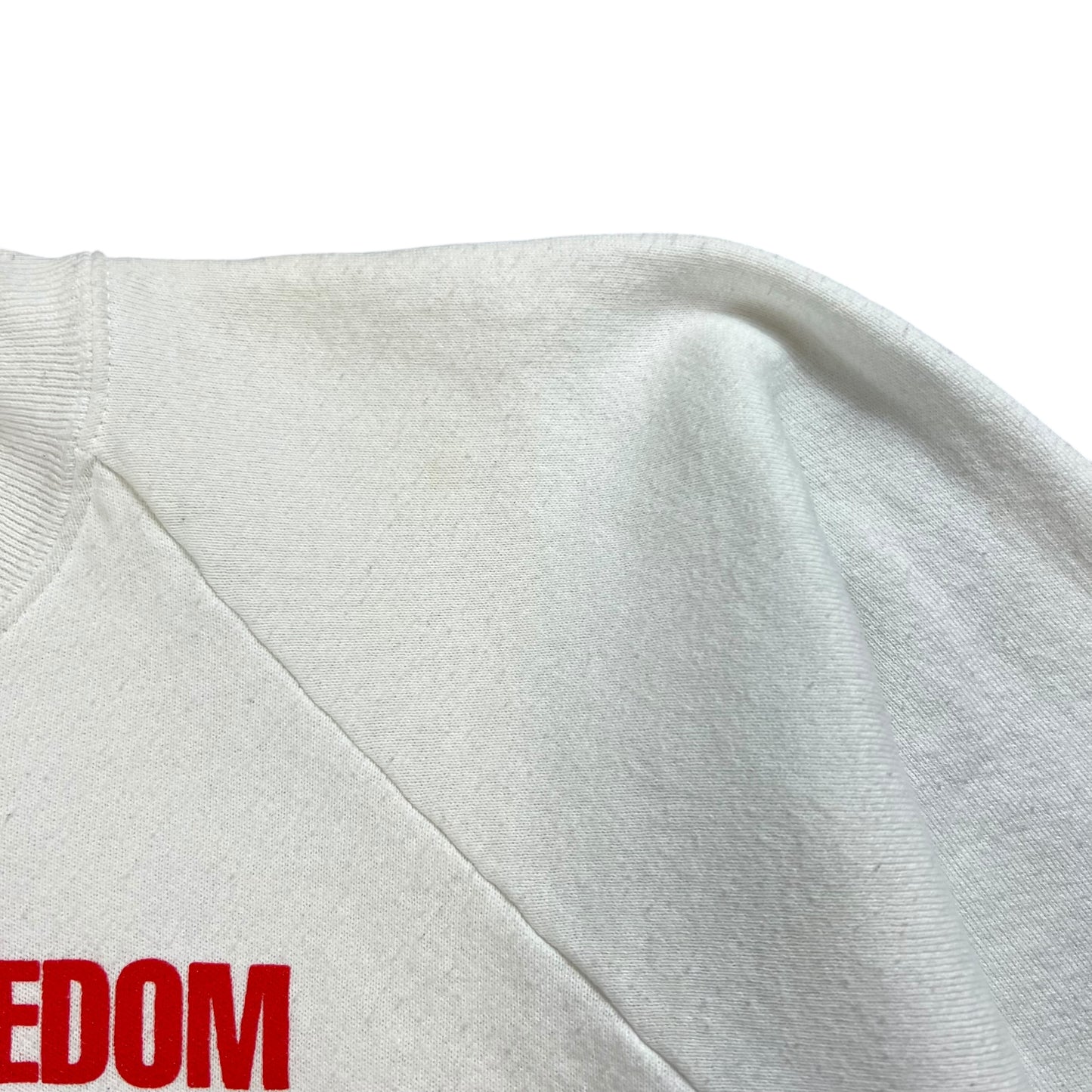 Vintage 90s Celebrate Freedom Read A Banned Book crewneck (L)
