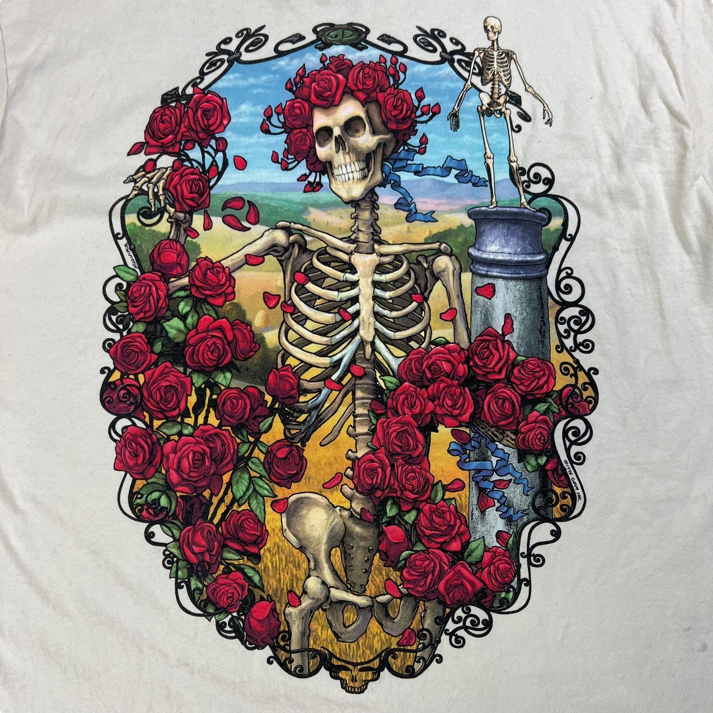 Vintage 1995 Grateful Dead Bertha 30 years band tee (XL)