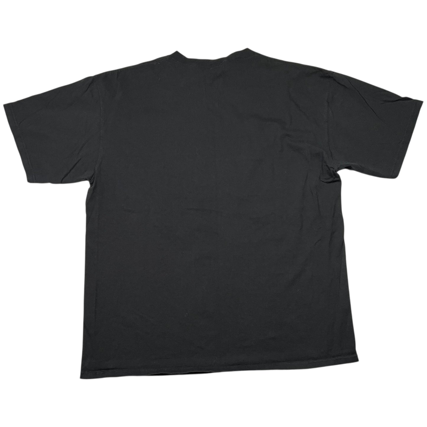 Vintage Y2K Philadelphia Eagles NFL power of one tee (XL)