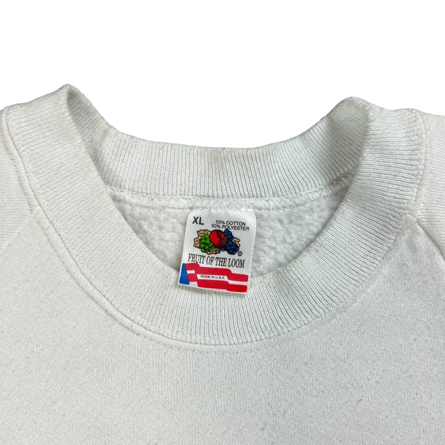 Vintage 90s Celebrate Freedom Read A Banned Book crewneck (L)