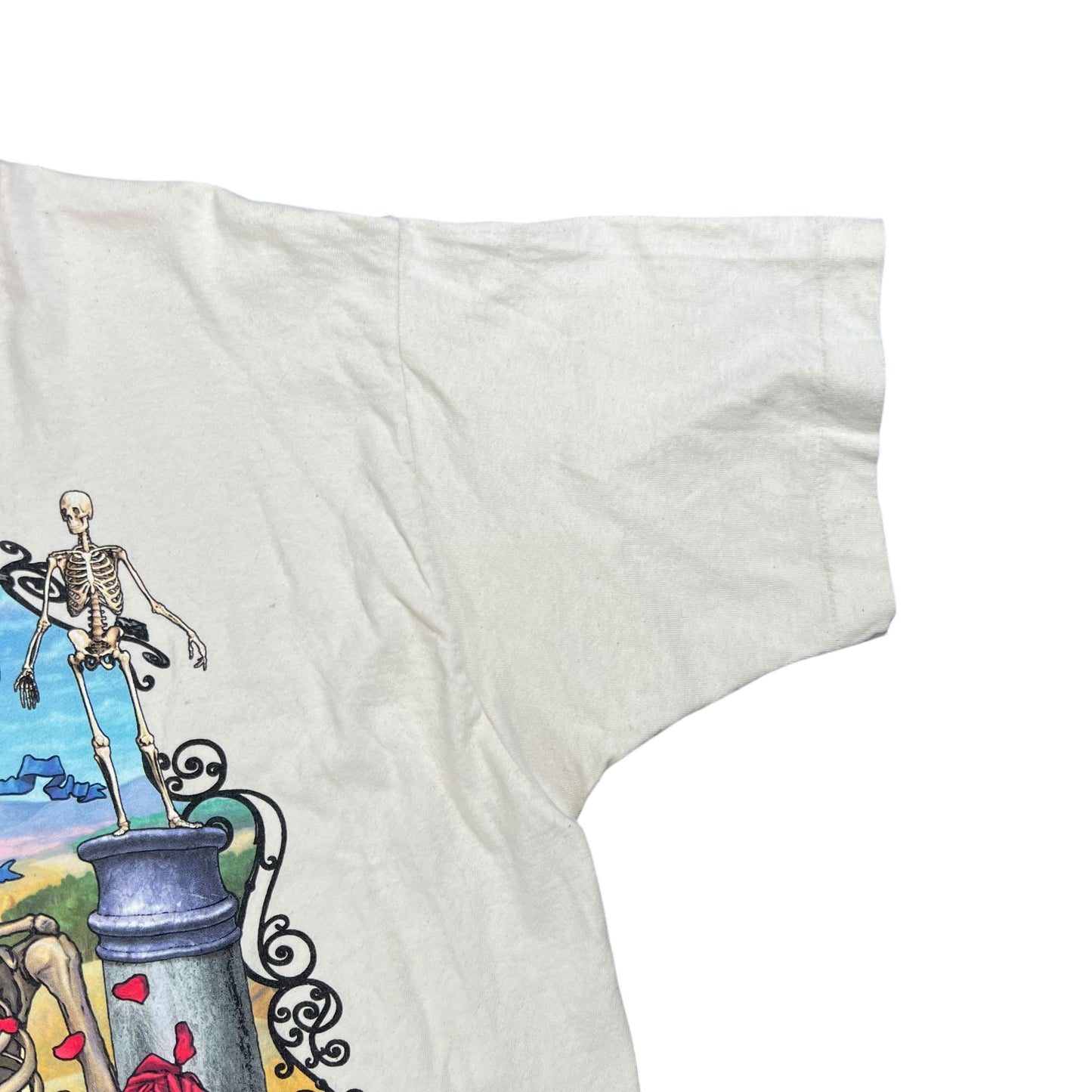 Vintage 1995 Grateful Dead Bertha 30 years band tee (XL)