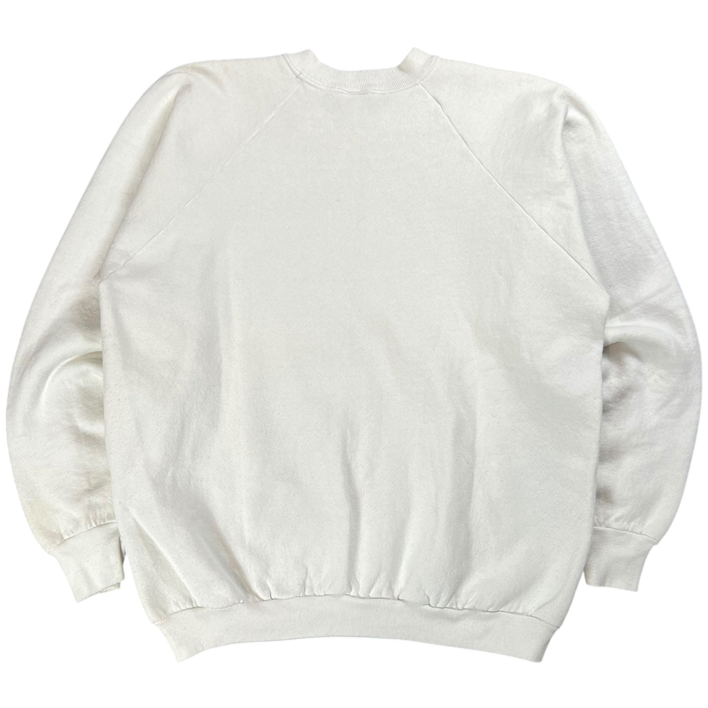 Vintage 90s Celebrate Freedom Read A Banned Book crewneck (L)
