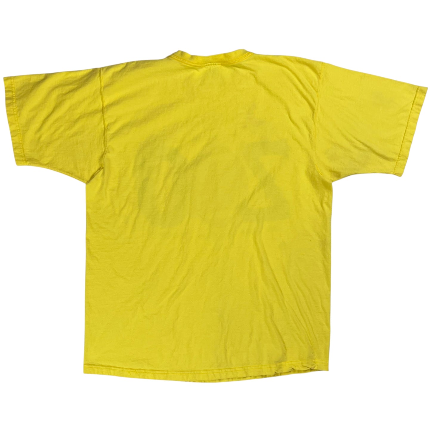 Vintage 2001 University of Pittsburgh Panthers Football Oakland Zoo tee (L)