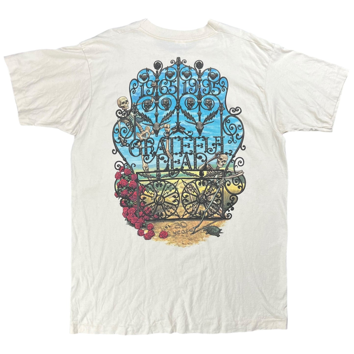 Vintage 1995 Grateful Dead Bertha 30 years band tee (XL)