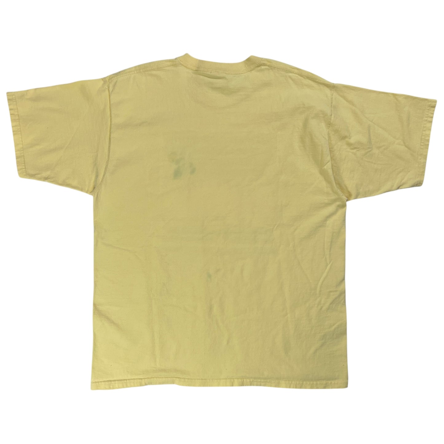 Vintage 90s First Women’s Rights Convention New York tee (XL)