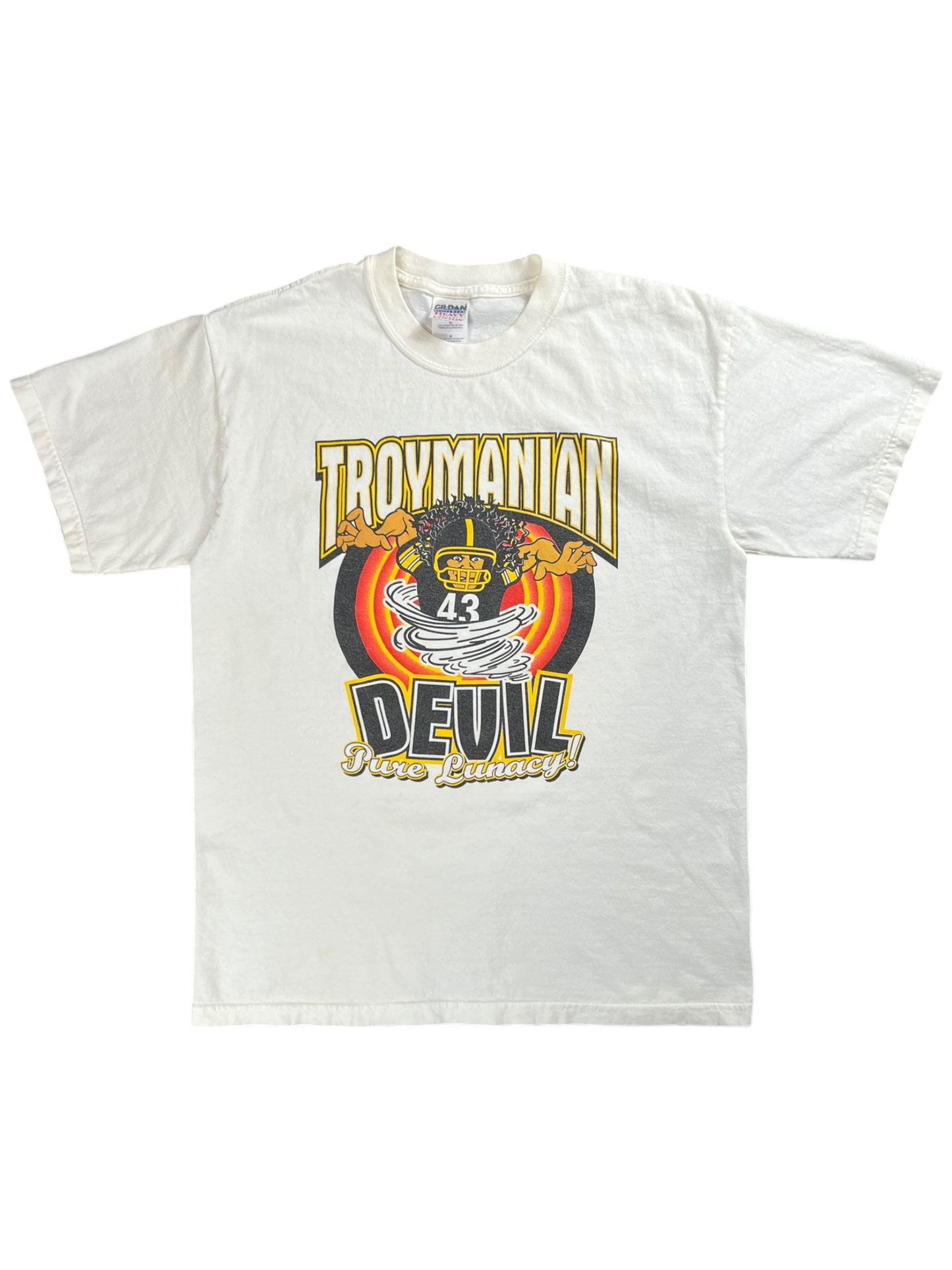 Vintage Y2K Troymanian Devil Pittsburgh Steelers Troy Polamalu tee (M)