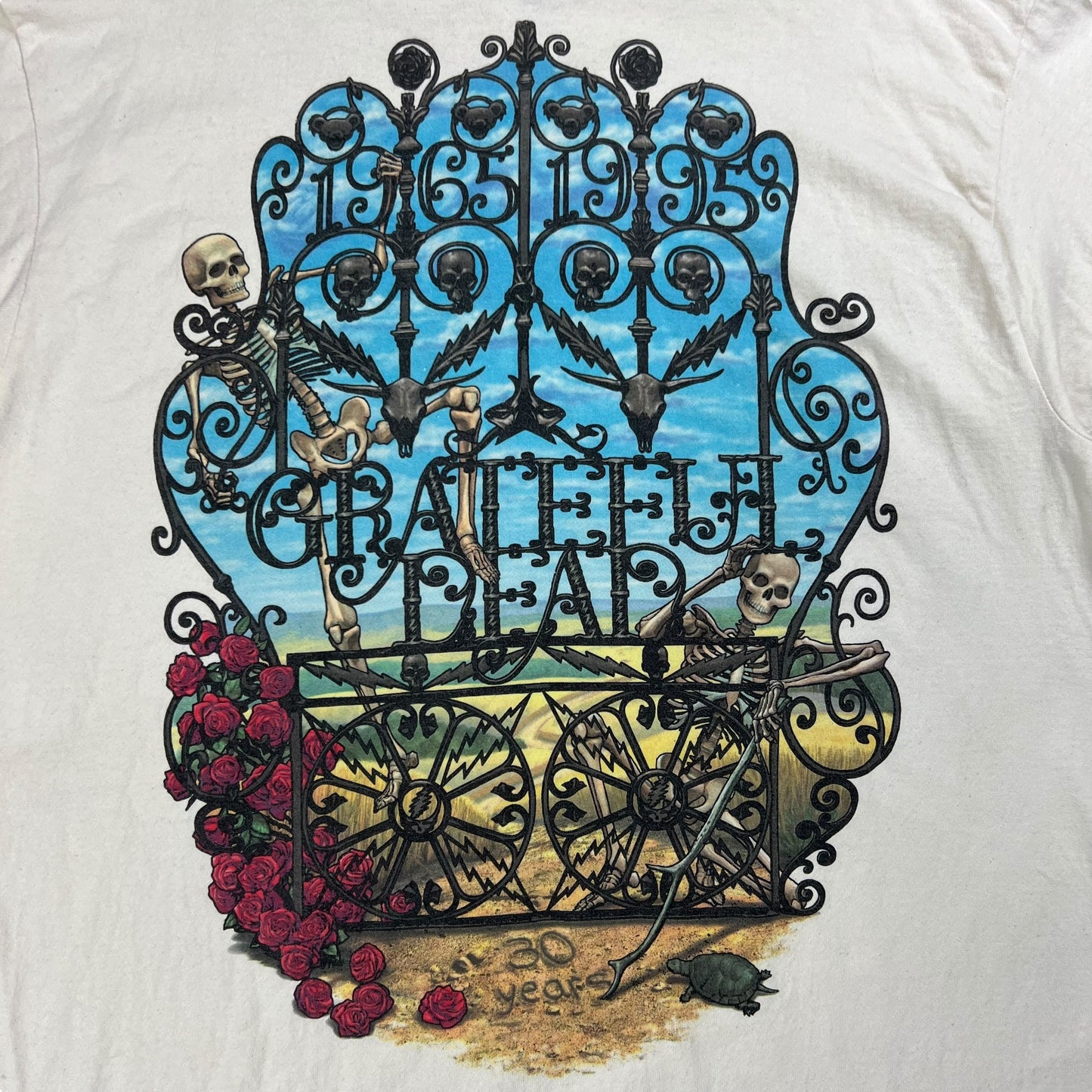 Vintage 1995 Grateful Dead Bertha 30 years band tee (XL)