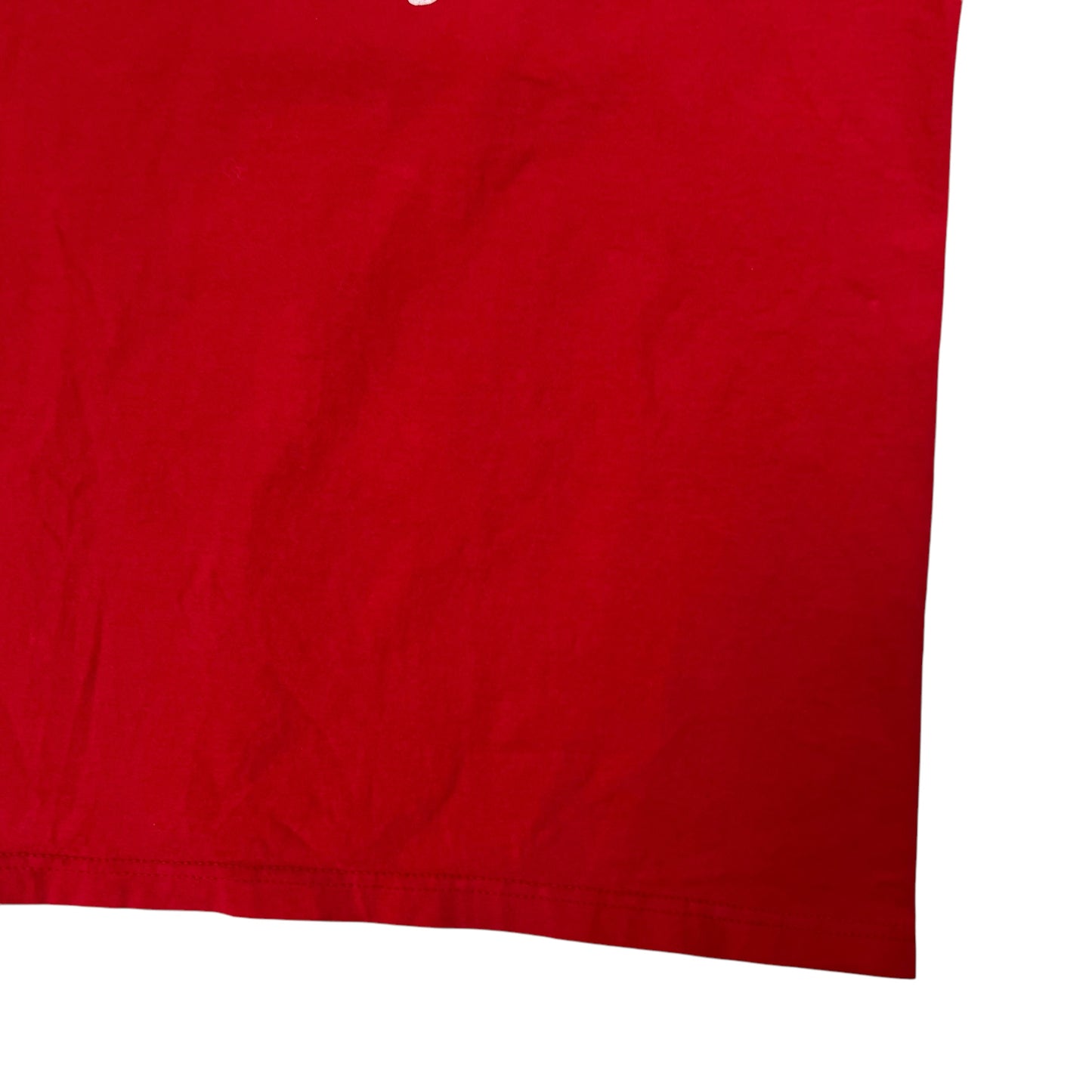 Vintage Y2K “Without NJ…” Pro New Jersey tee (L)