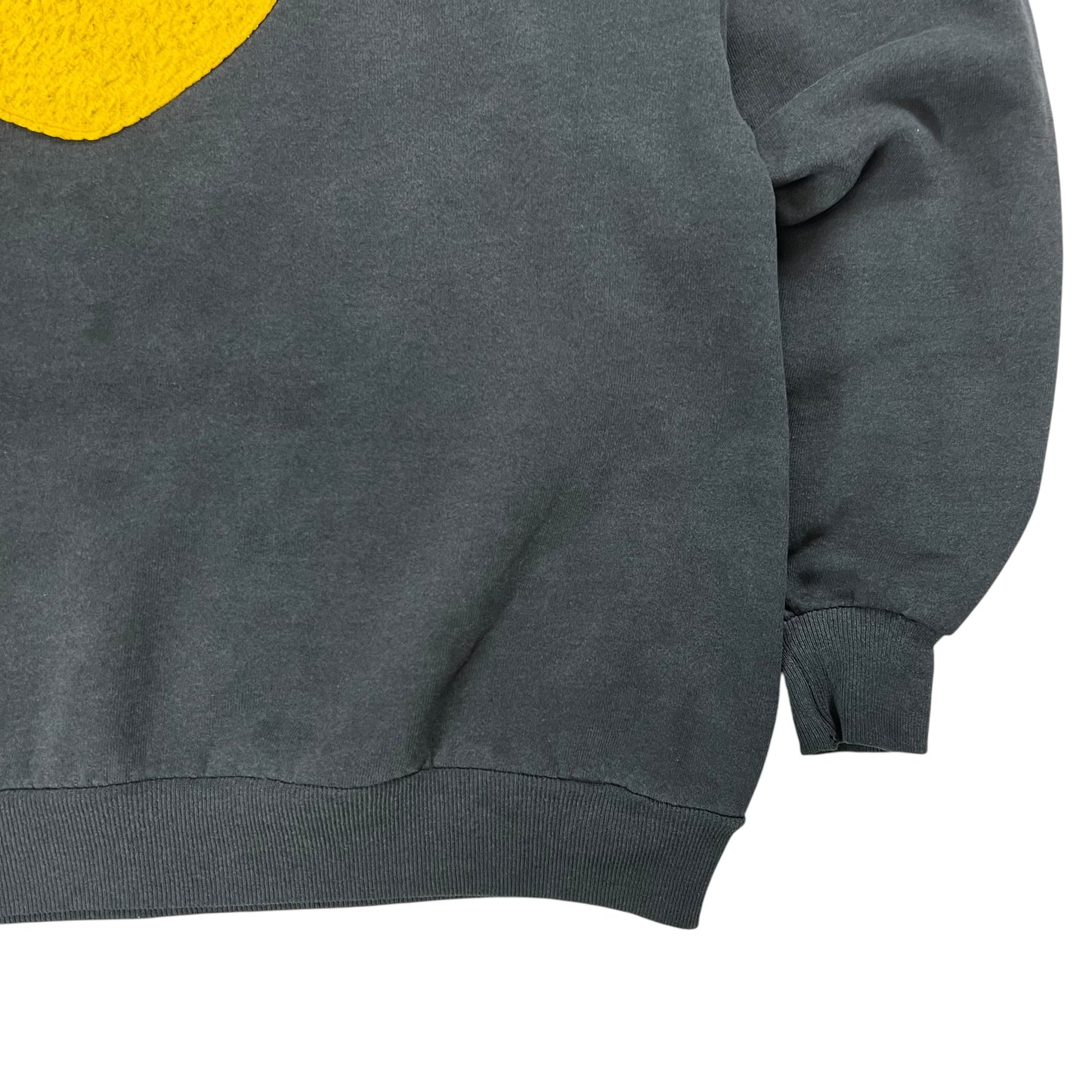 Vintage 90s Pittsburgh city crewneck (L)