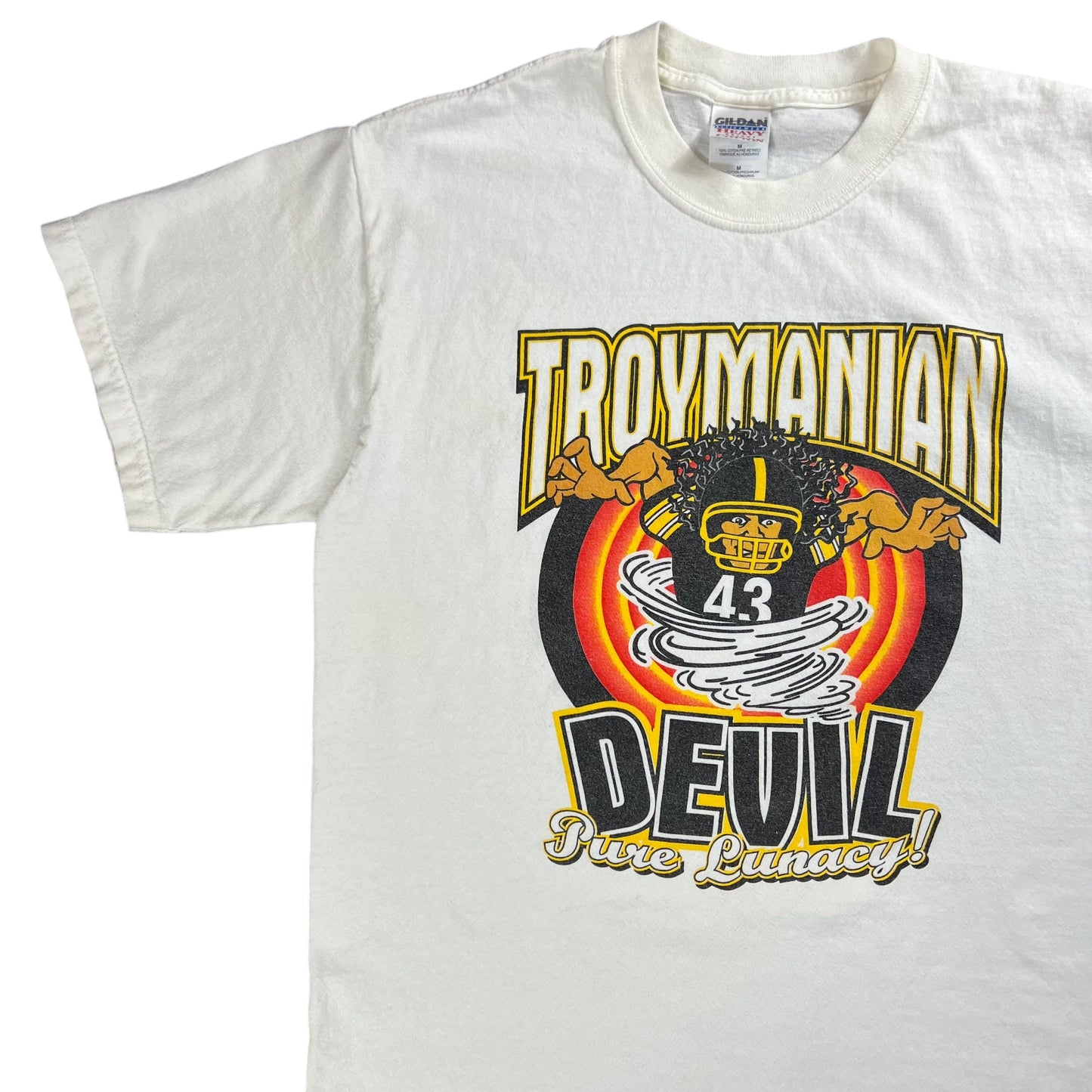 Vintage Y2K Troymanian Devil Pittsburgh Steelers Troy Polamalu tee (M)