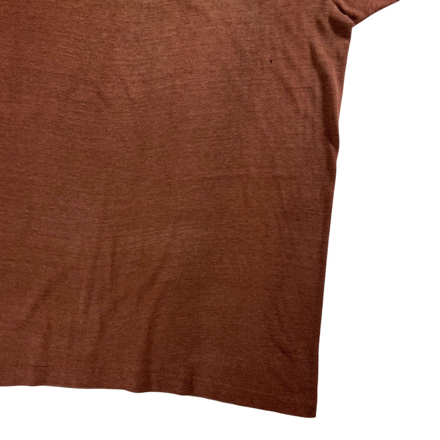 Vintage 1970s Fruit of the loom faded brown blank tee (M)