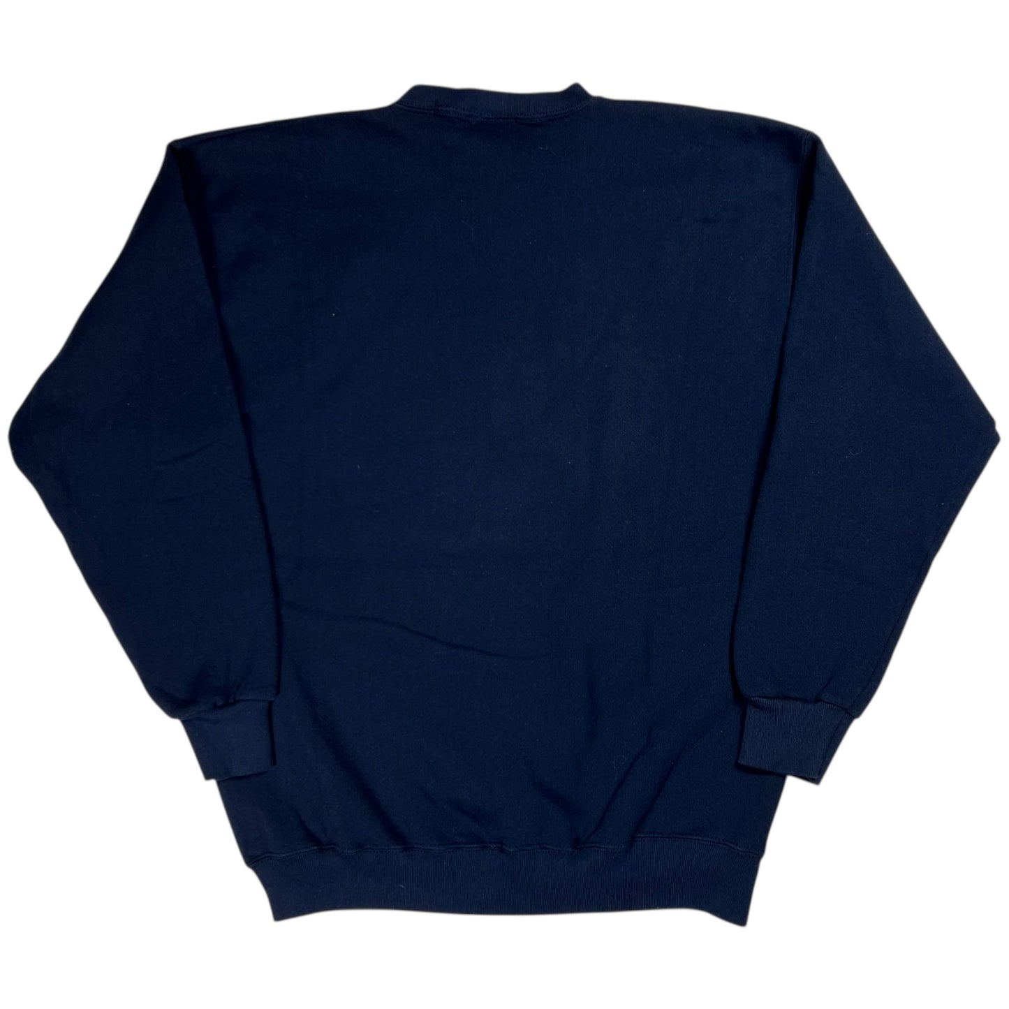 Vintage 90s University of Michigan Wolverines crewneck (M)