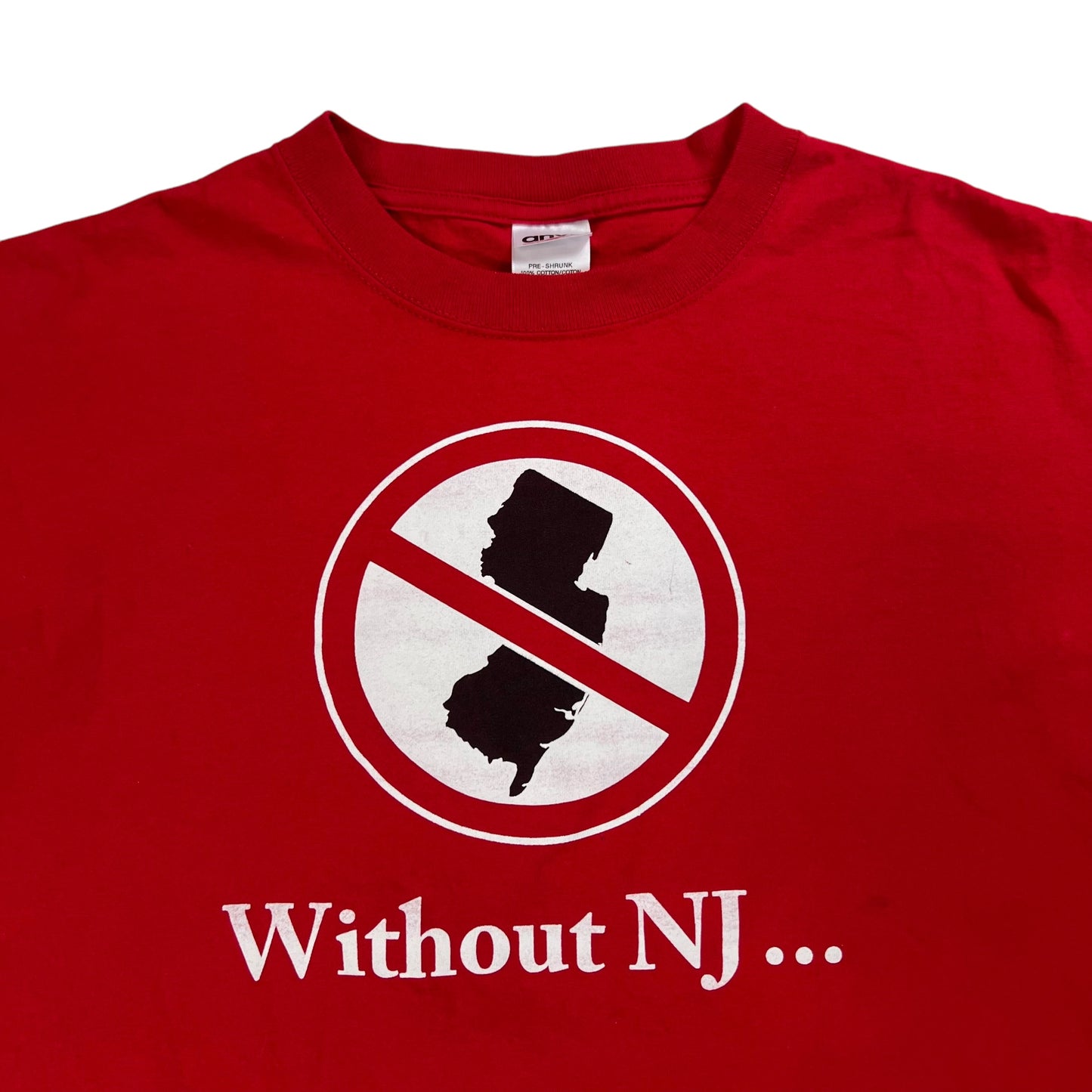 Vintage Y2K “Without NJ…” Pro New Jersey tee (L)