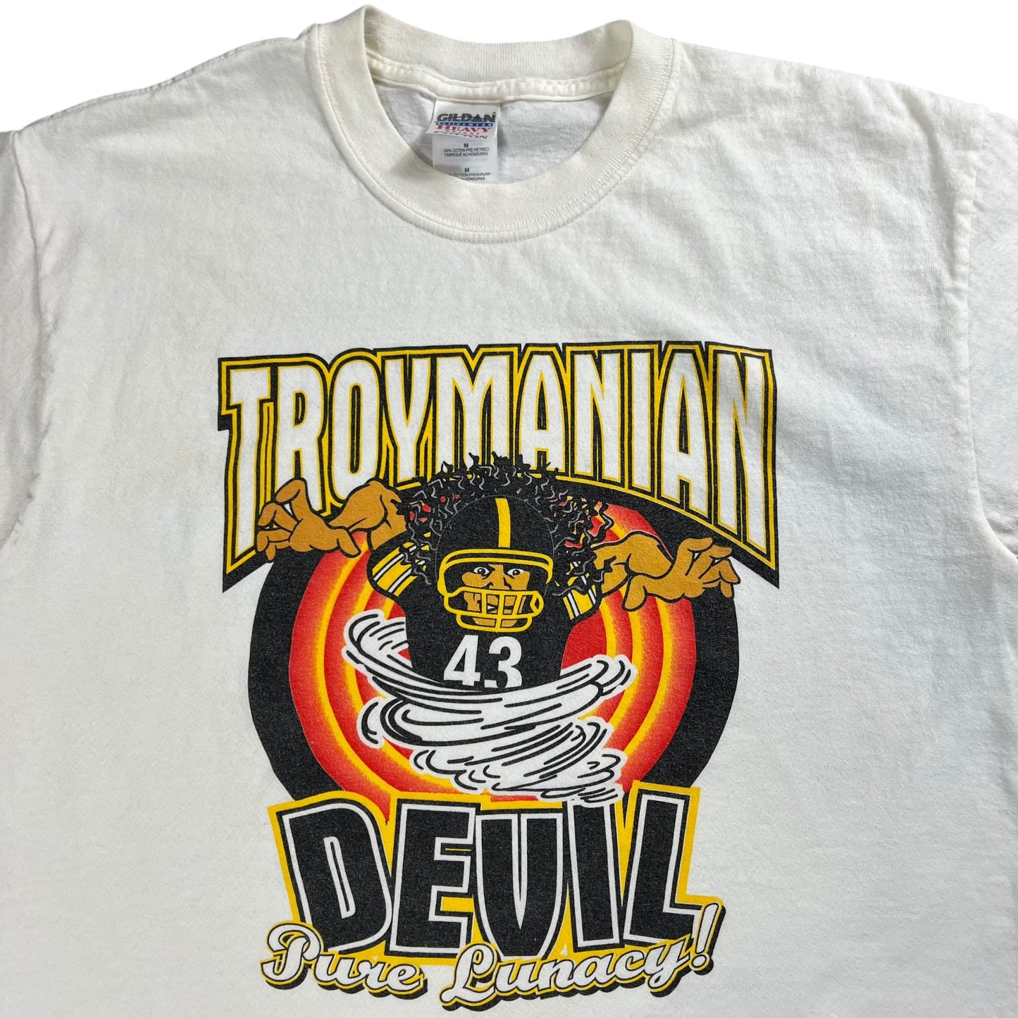 Vintage Y2K Troymanian Devil Pittsburgh Steelers Troy Polamalu tee (M)