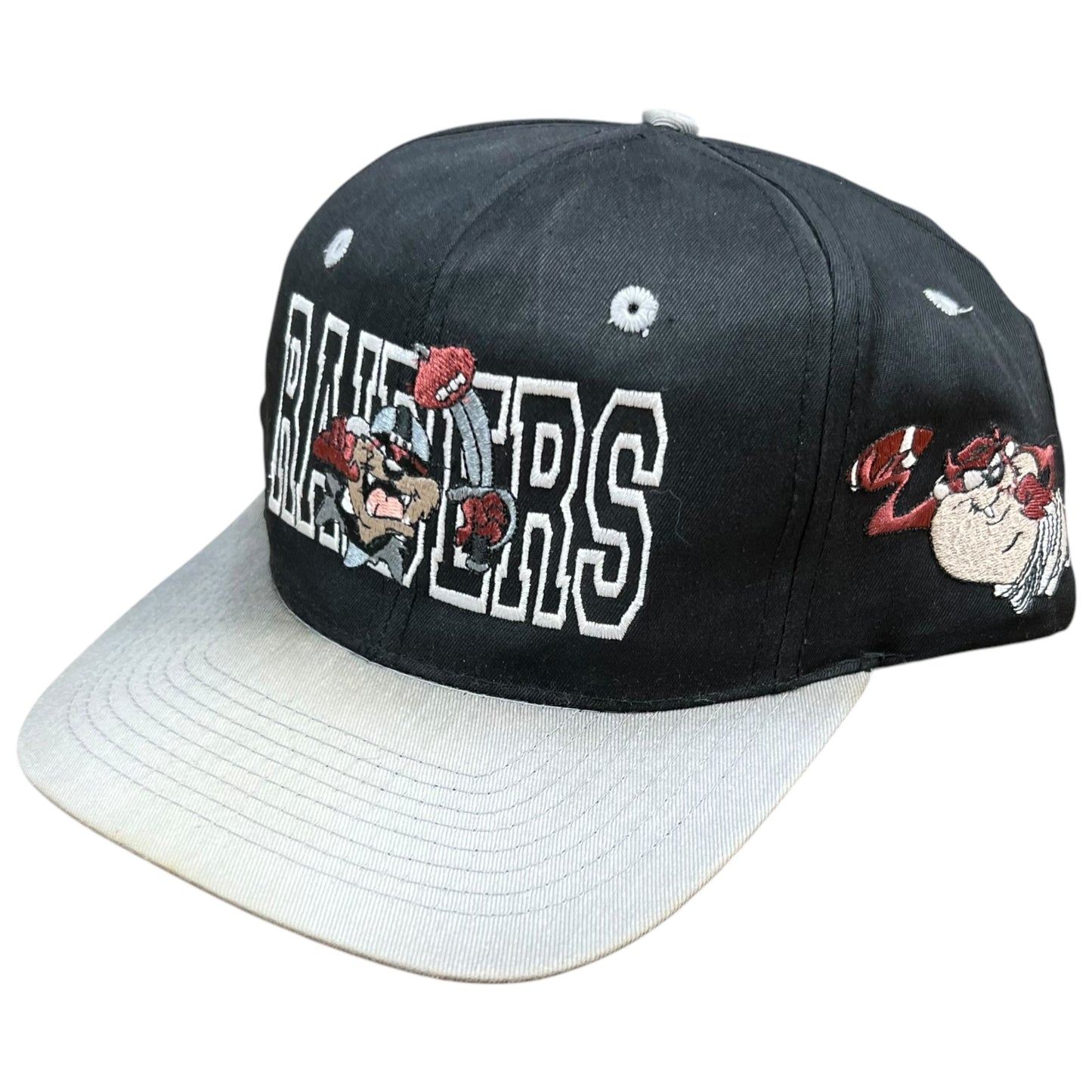 Vintage 1993 Oakland Raiders Looney Tunes Taz Tasmanian Devil SnapBack