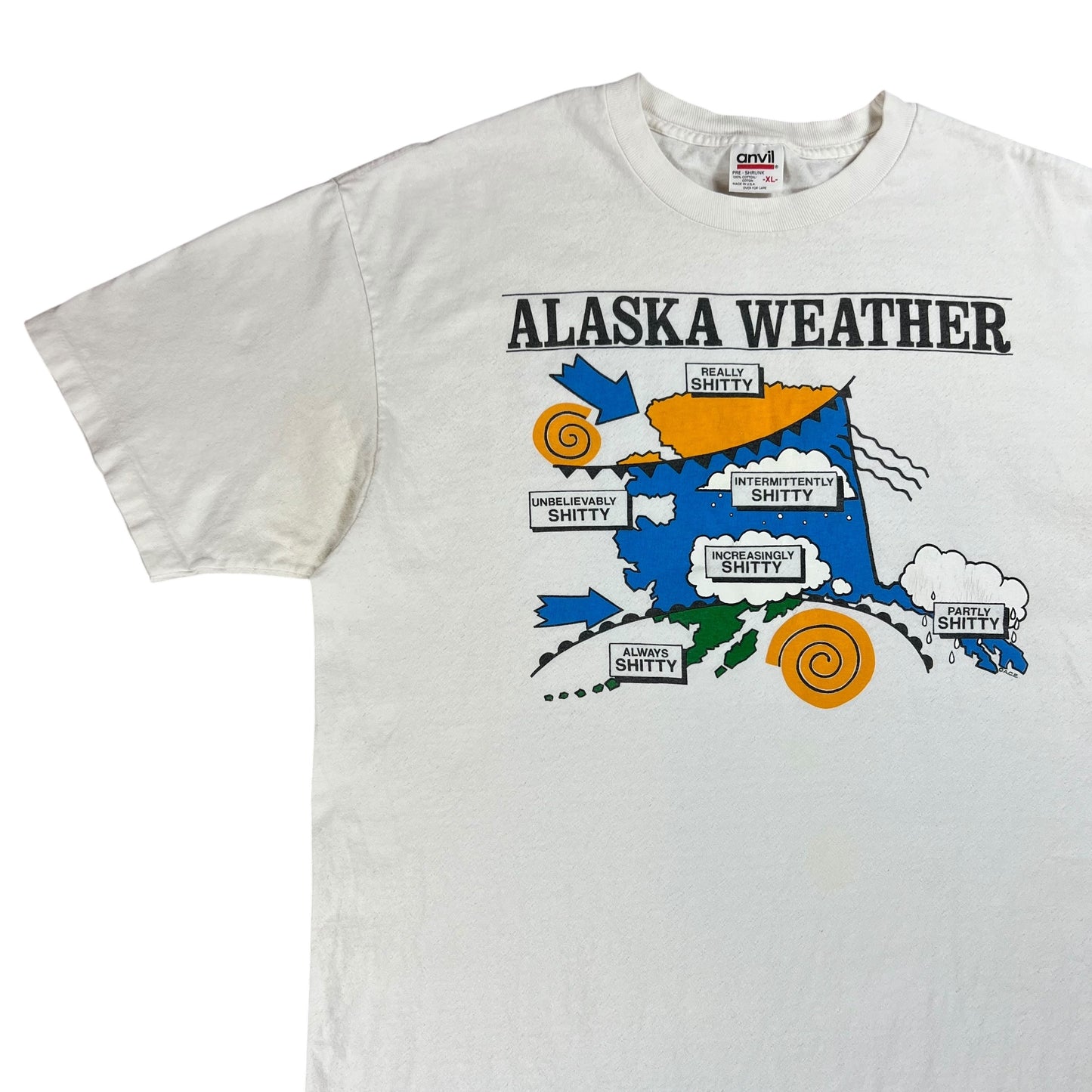 Vintage 90s Alaska shitty Weather tee (XL)
