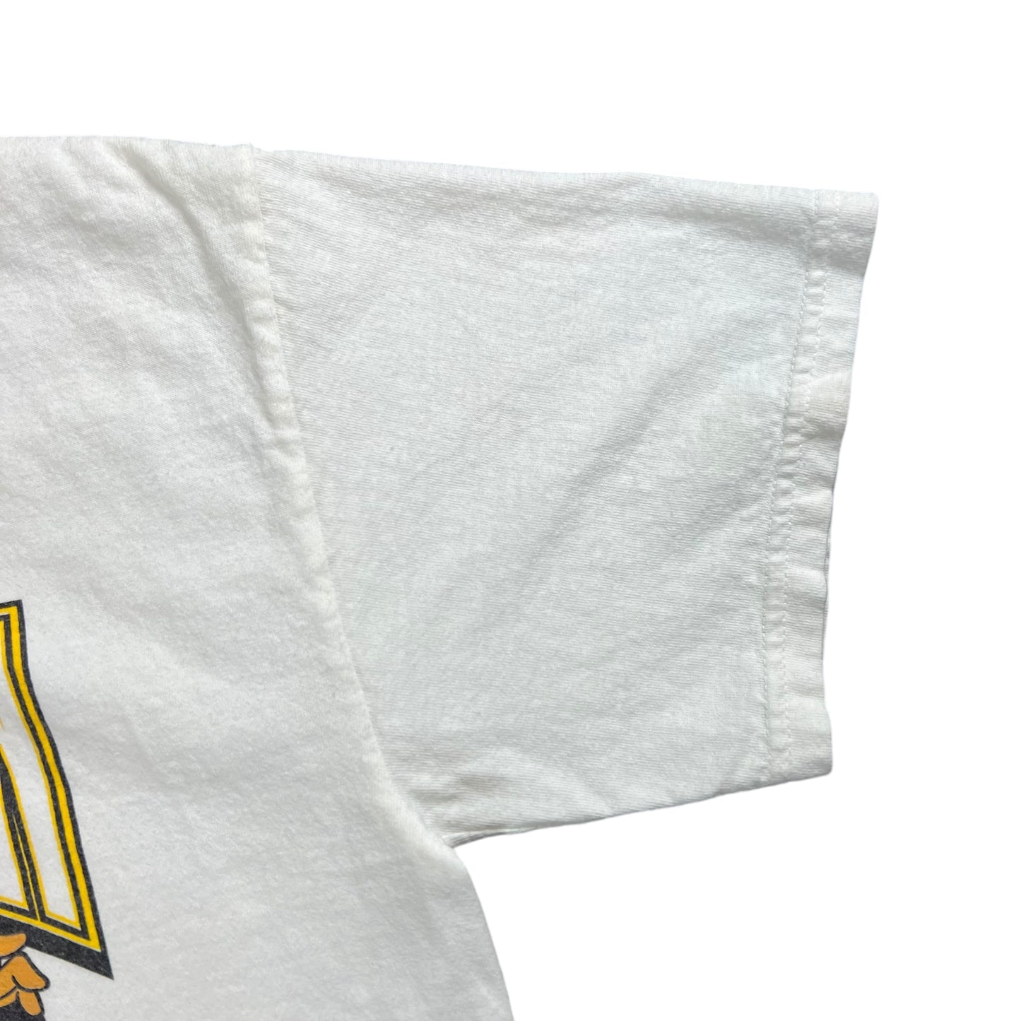 Vintage Y2K Troymanian Devil Pittsburgh Steelers Troy Polamalu tee (M)