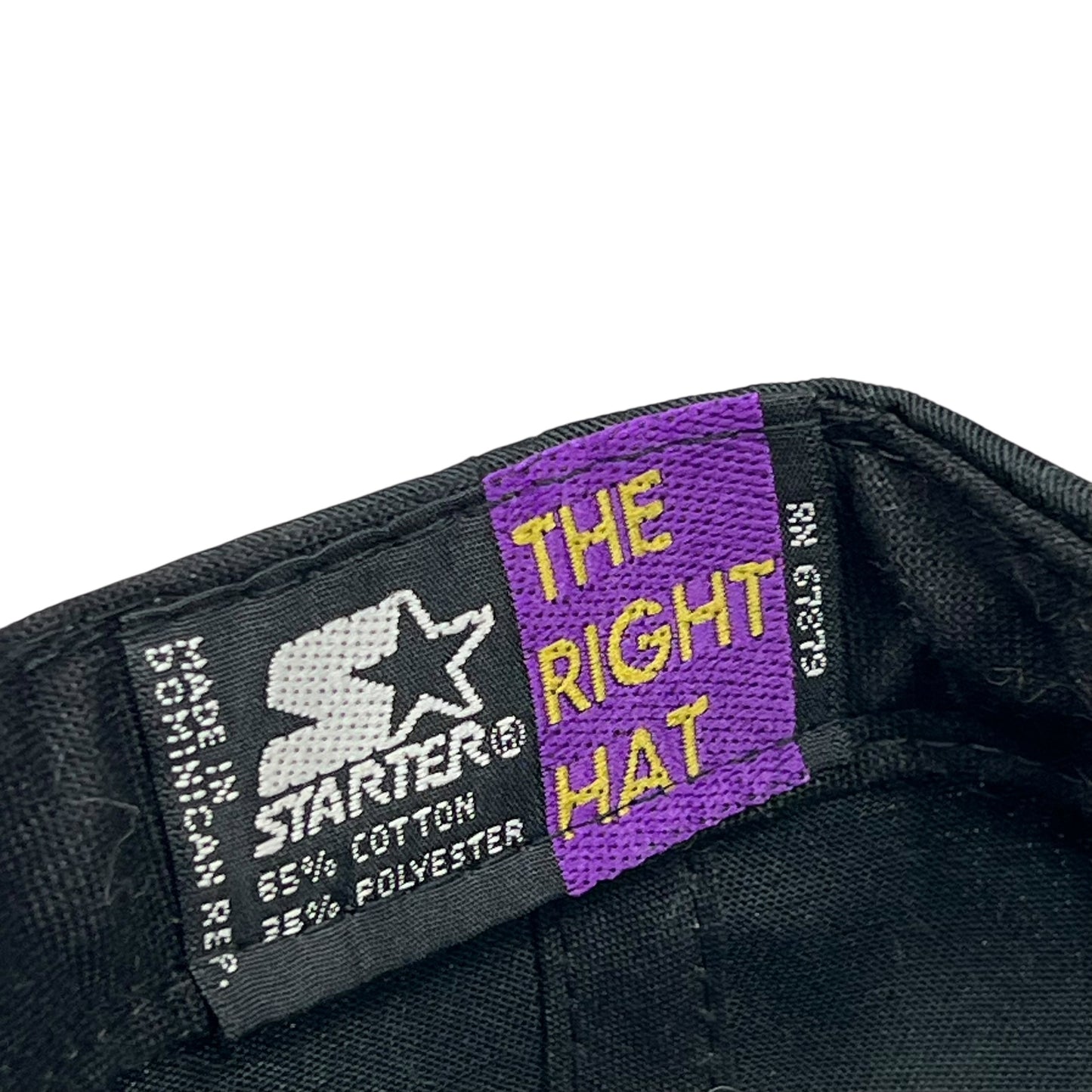 Vintage 1995 Starter Pittsburgh Steelers Division Champs SnapBack