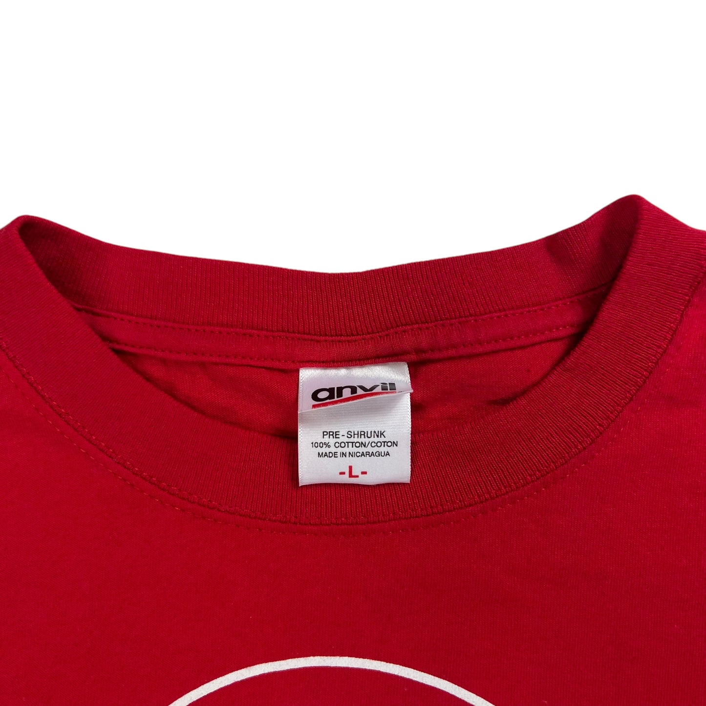 Vintage Y2K “Without NJ…” Pro New Jersey tee (L)