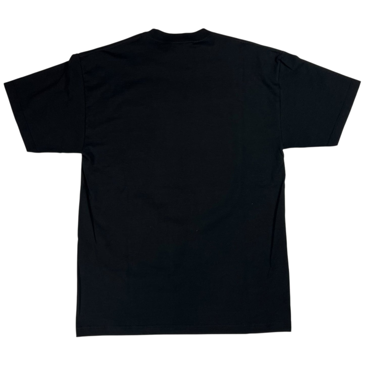 Y2K Reebok Pittsburgh Steelers Super Bowl Champions tee (M/L)