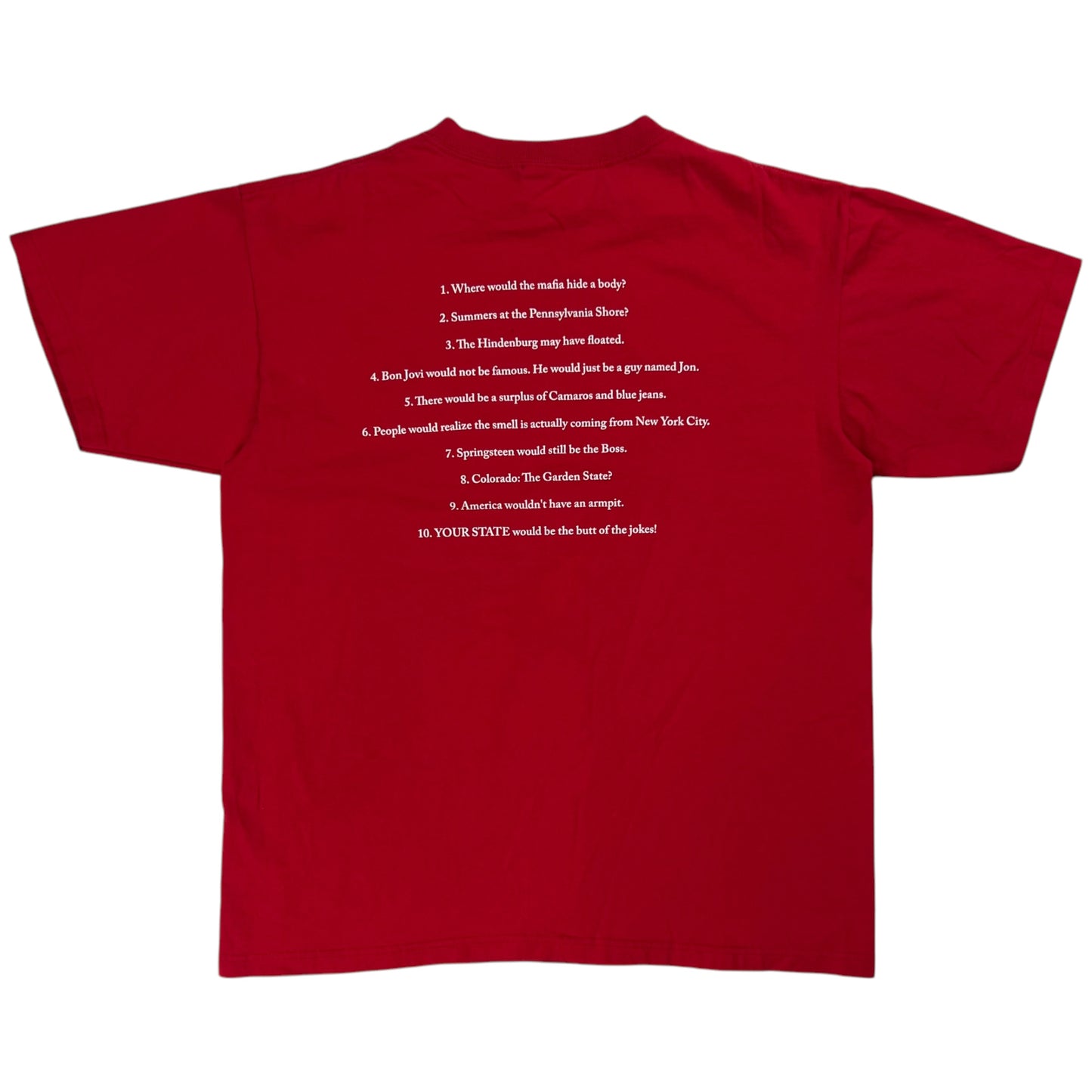 Vintage Y2K “Without NJ…” Pro New Jersey tee (L)