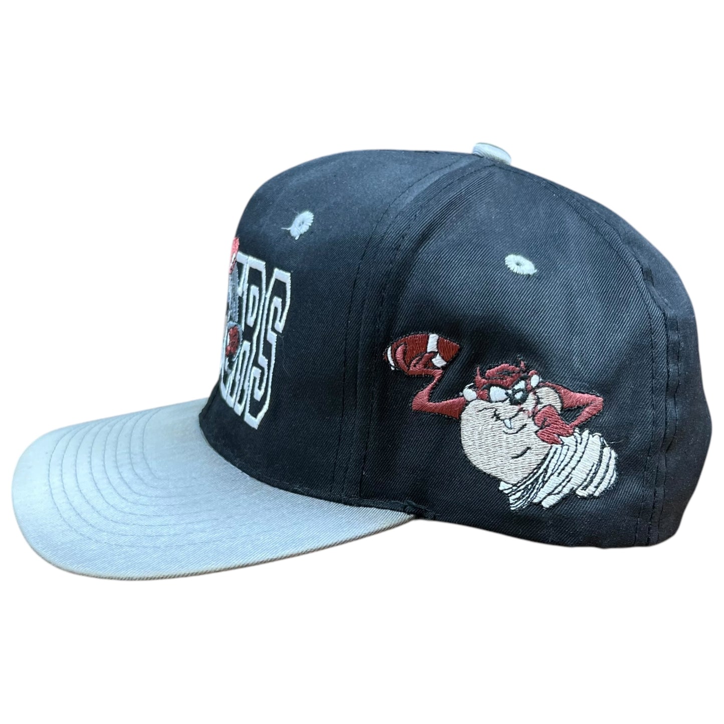 Vintage 1993 Oakland Raiders Looney Tunes Taz Tasmanian Devil SnapBack